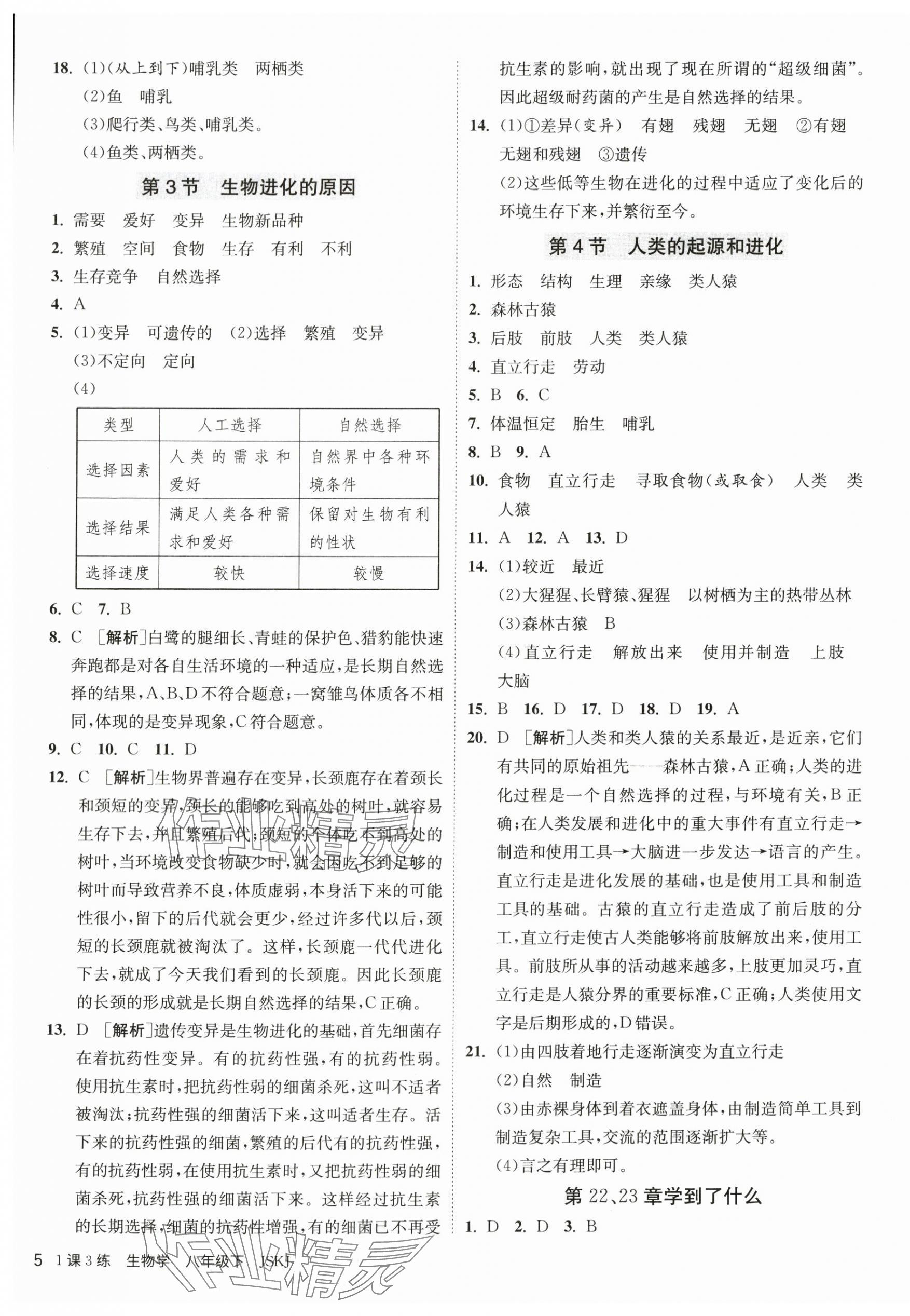 2024年1课3练单元达标测试八年级生物下册苏科版 第5页