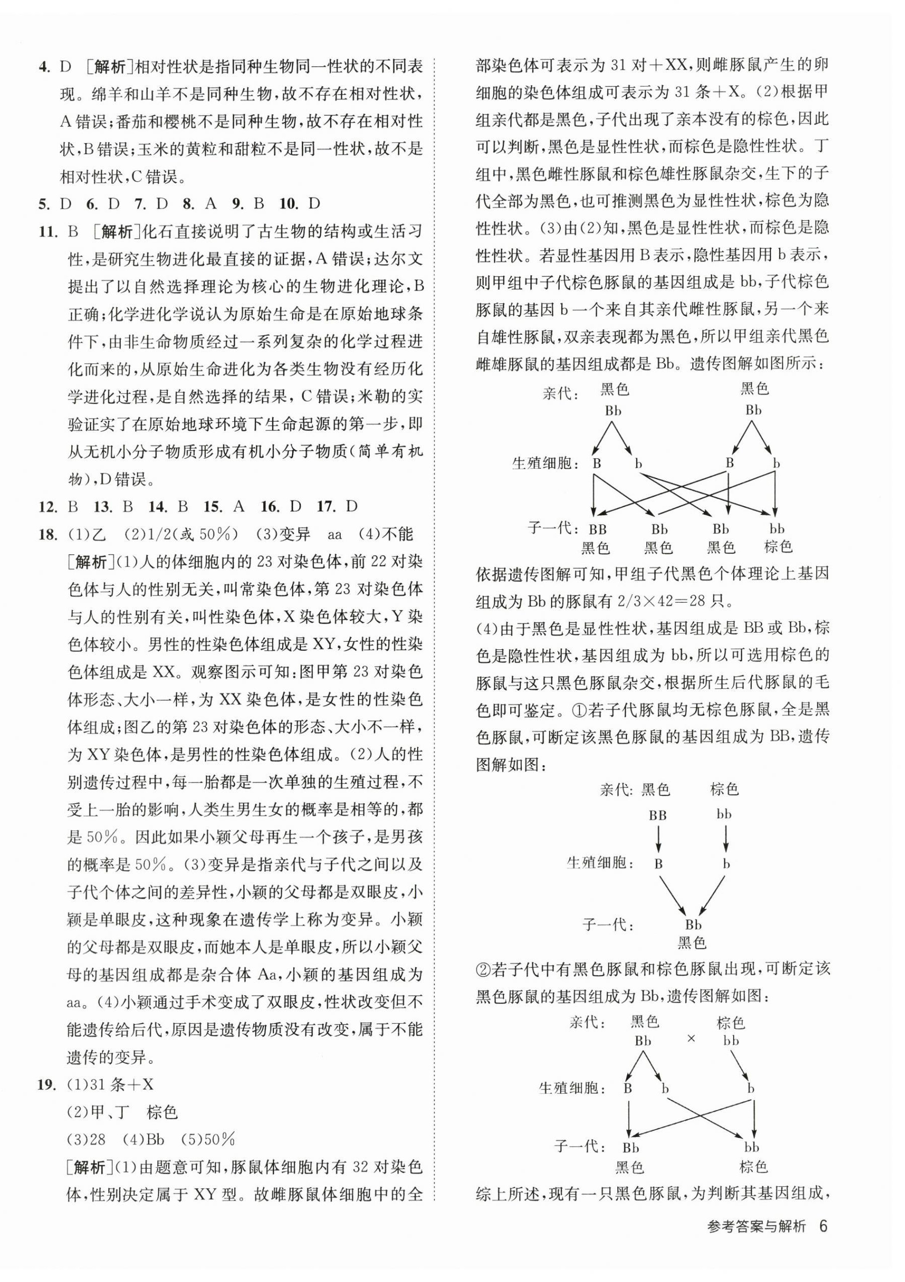 2024年1课3练单元达标测试八年级生物下册苏科版 第6页