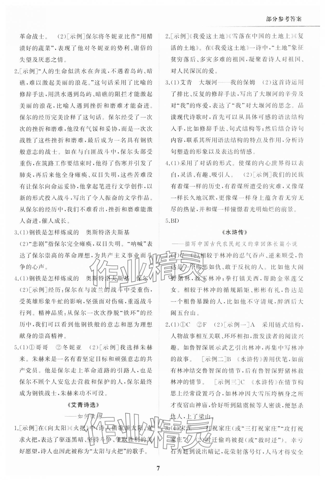 2025年學習指要綜合本九年級語文 第7頁