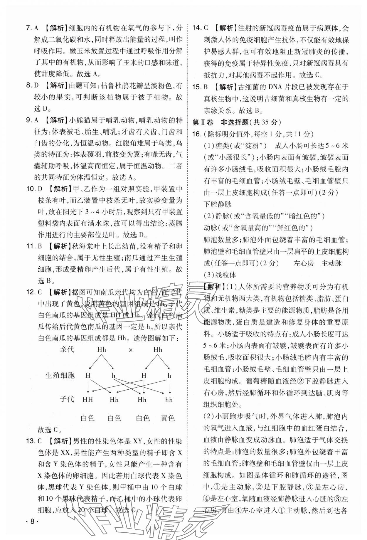 2024年開(kāi)路先鋒試題精選生物山西專版 第8頁(yè)