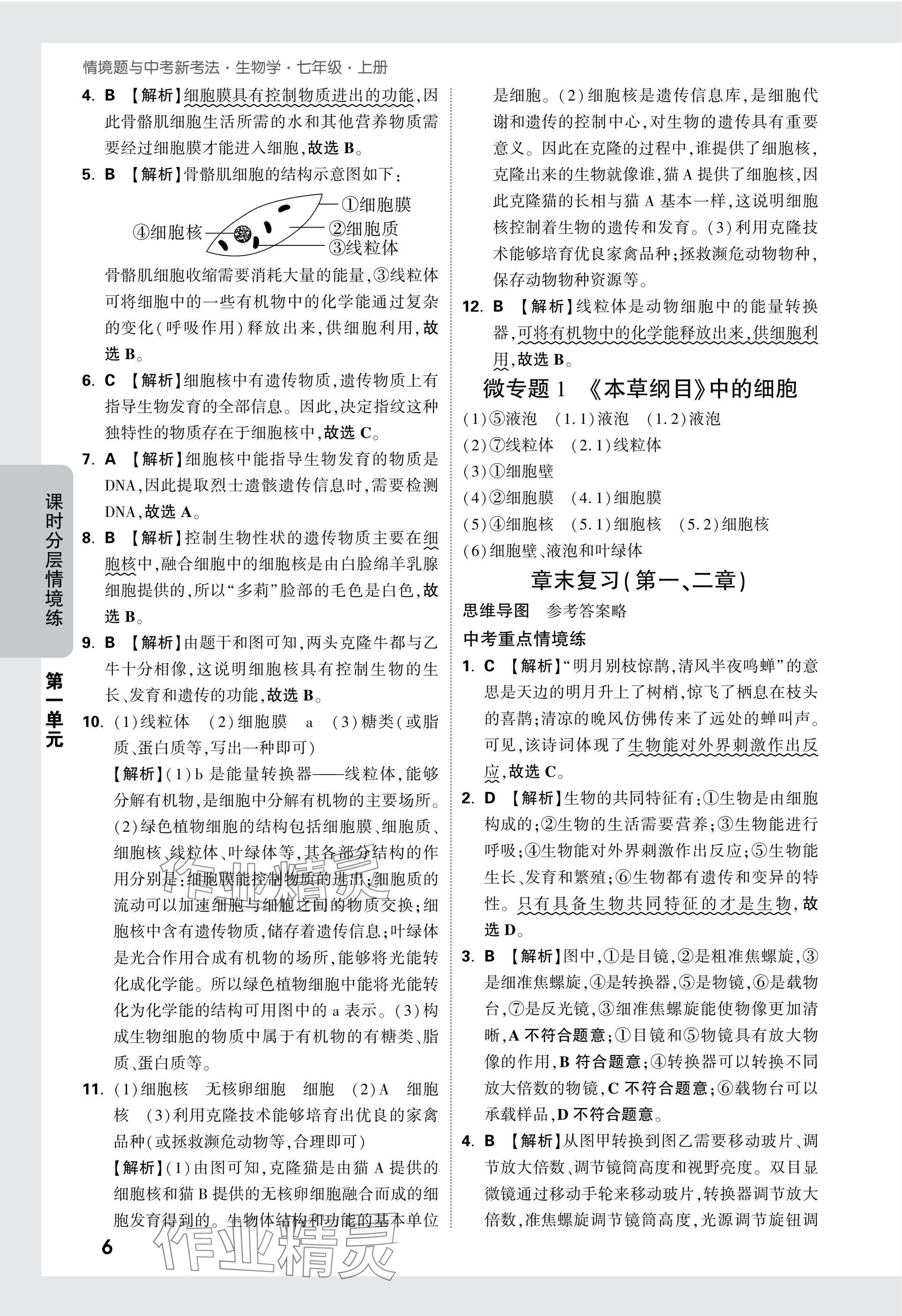 2025版萬唯中考情境題七年級生物上冊人教版 參考答案第6頁