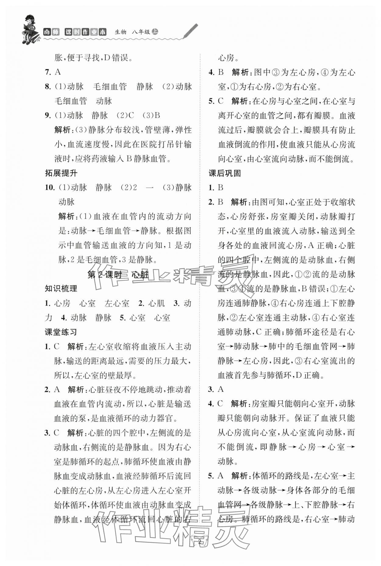 2024年創(chuàng)新課時(shí)作業(yè)本江蘇人民出版社八年級生物上冊蘇科版 第2頁