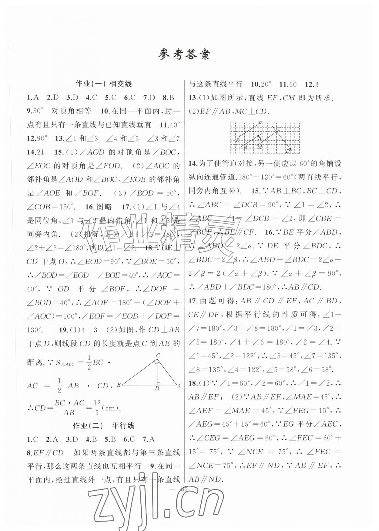 2026年暑假作业新疆青少年出版社七年级数学人教版&nbsp;第1页