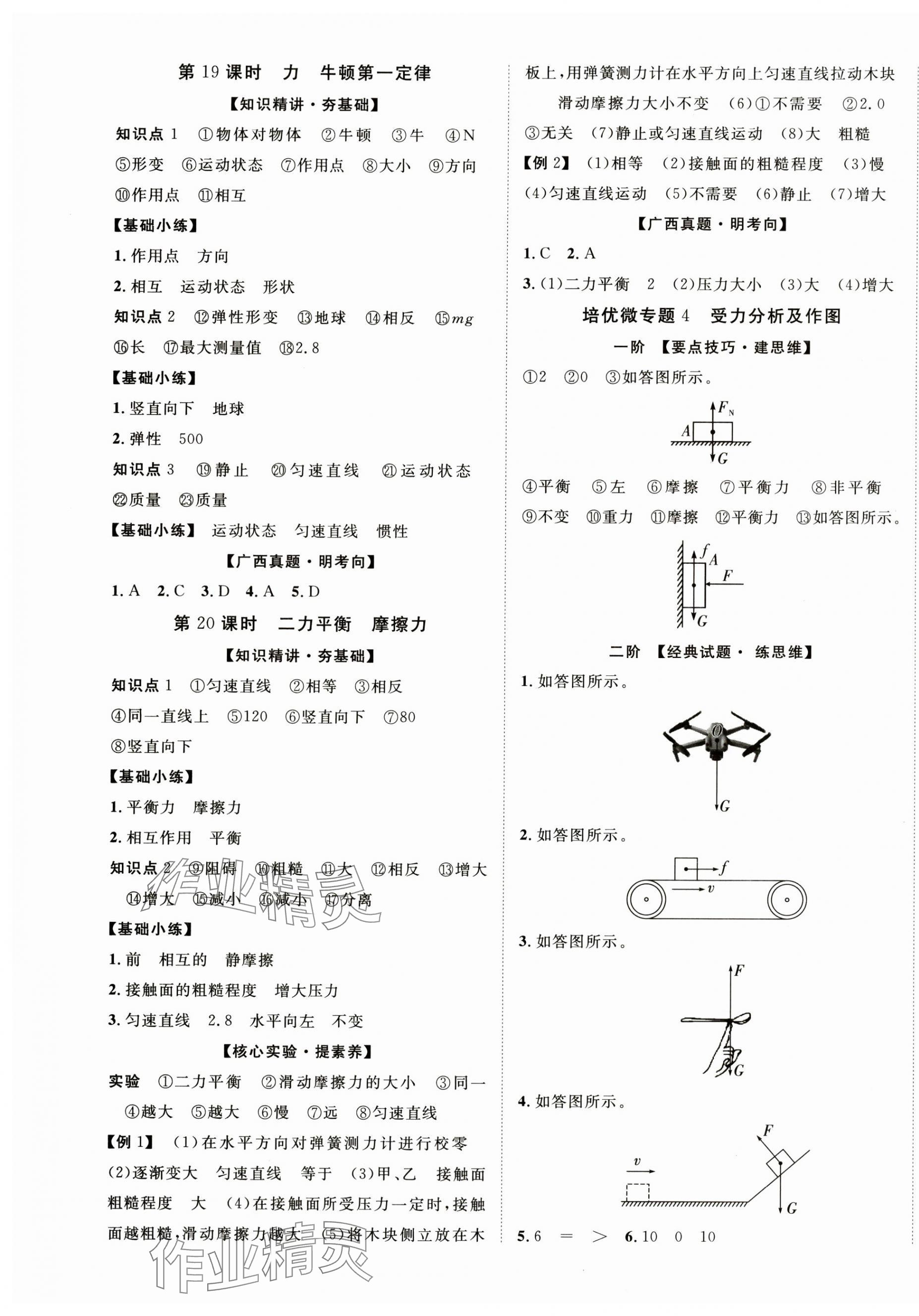 2025年優(yōu)化指導(dǎo)物理中考廣西專版 第9頁