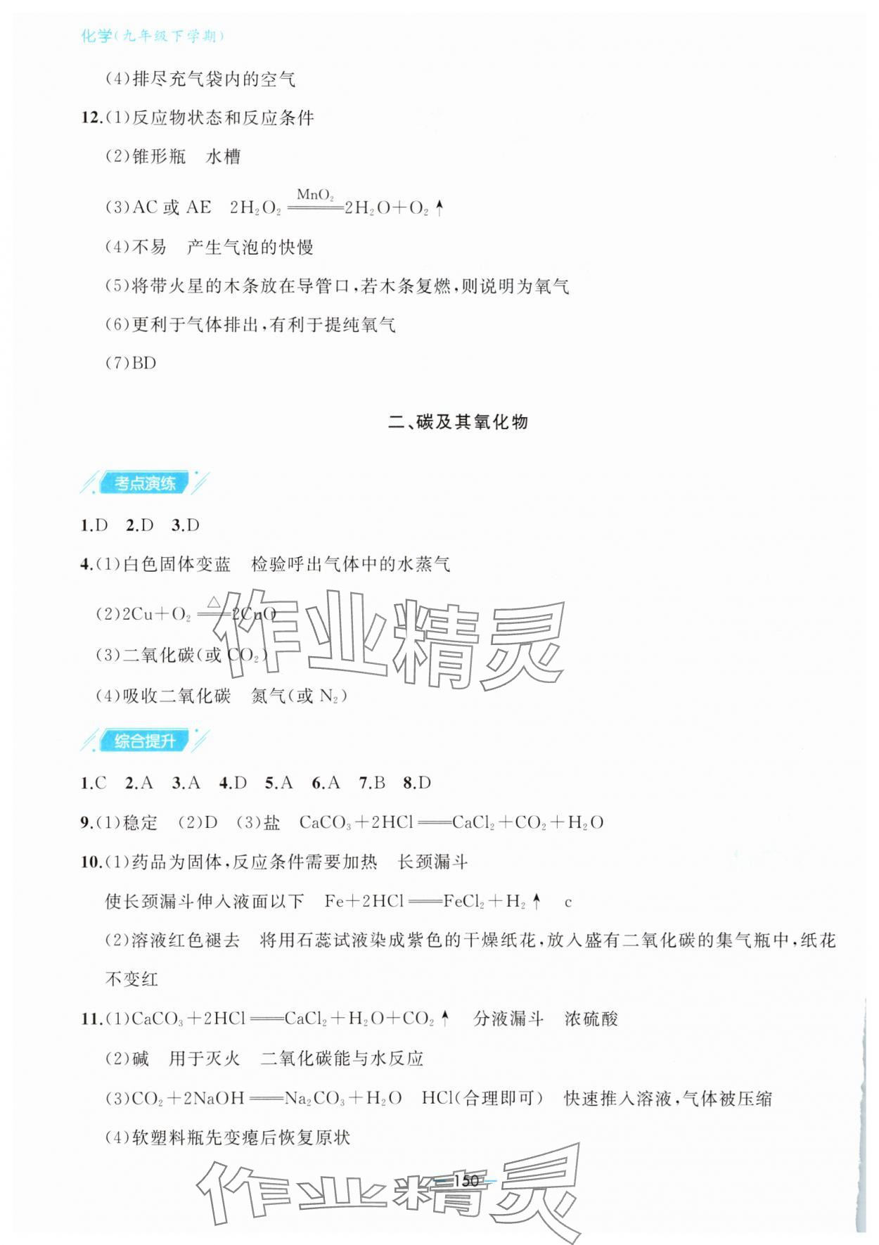 2025年新课堂同步学习与探究九年级化学下册人教版金乡专版 第2页