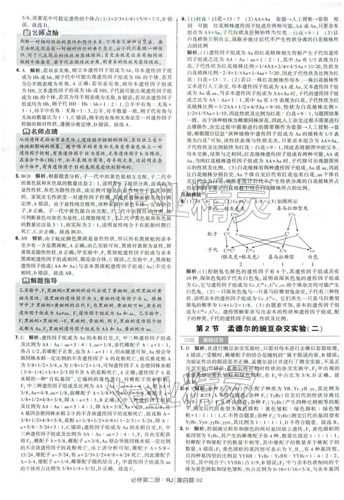 2026年经纶学典学霸黑白题高中生物必修第二册人教版 第2页