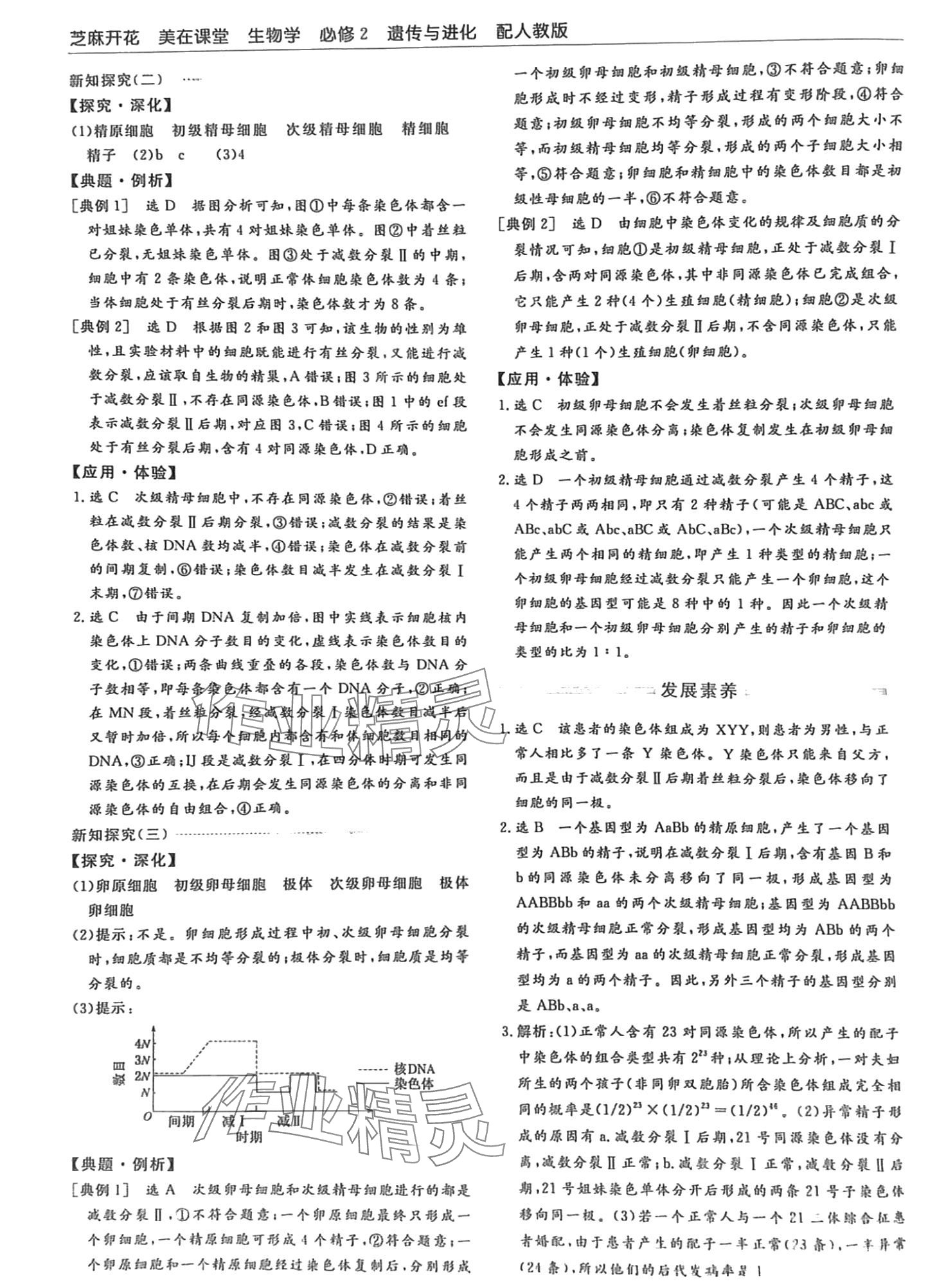 2024年芝麻開花美在課堂高中生物必修2人教版 第8頁