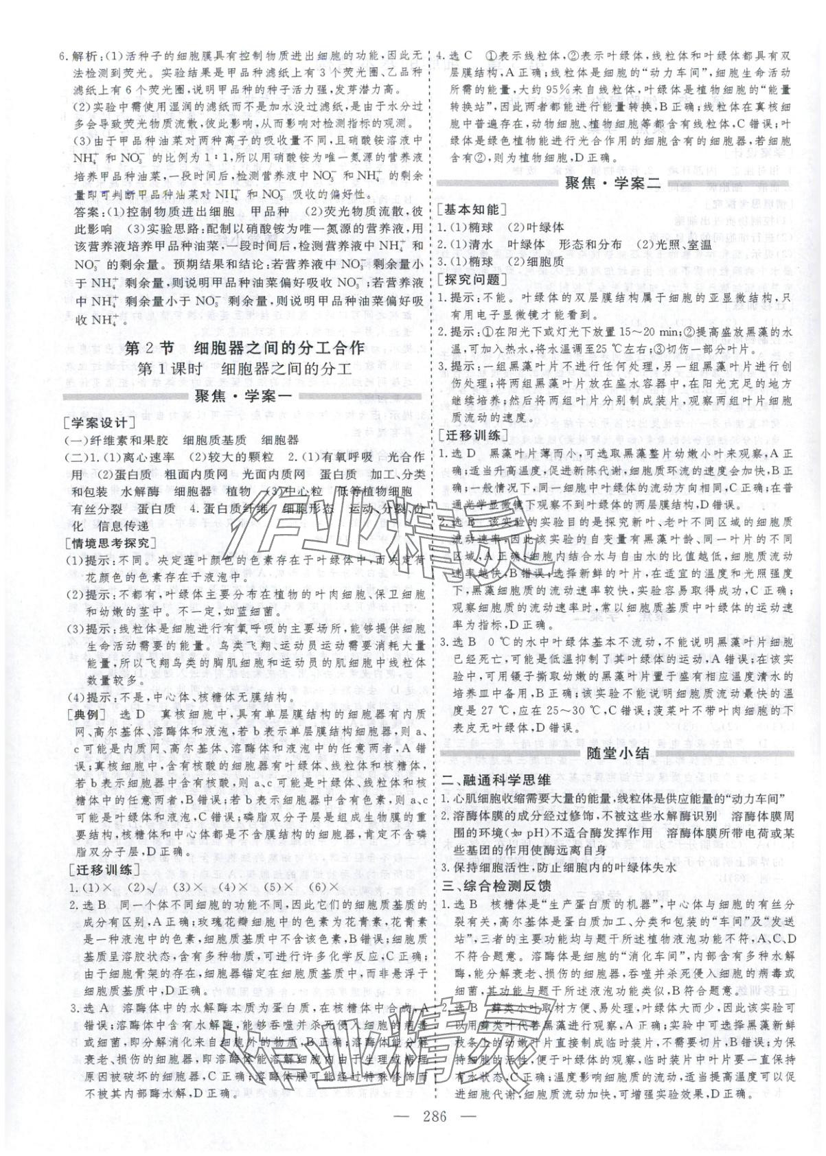 2025年芝麻开花美在课堂高一生物必修第一册人教版&nbsp;第10页