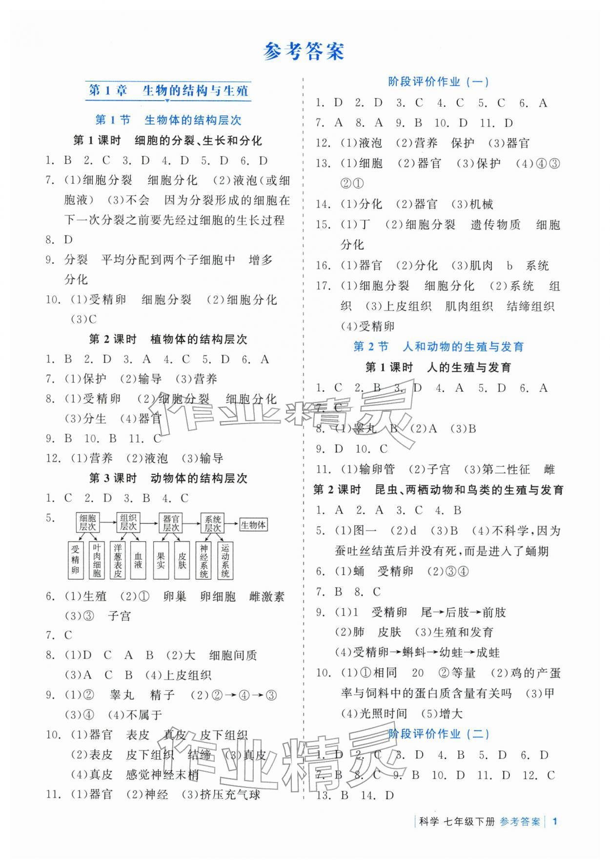 2026年精彩练习就练这一本七年级科学下册浙教版评议教辅&nbsp;第1页