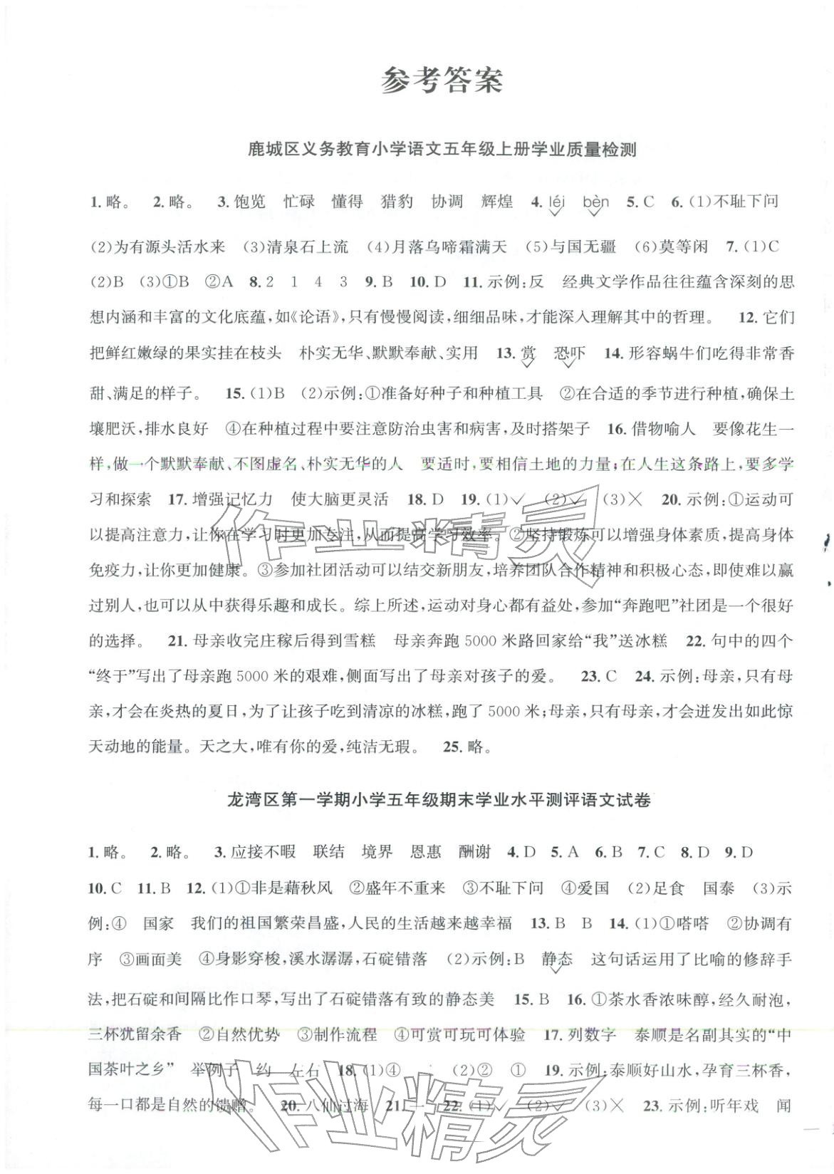 2025年陽光同學(xué)期末真題精選五年級(jí)語文上冊(cè)人教版&nbsp;第5頁