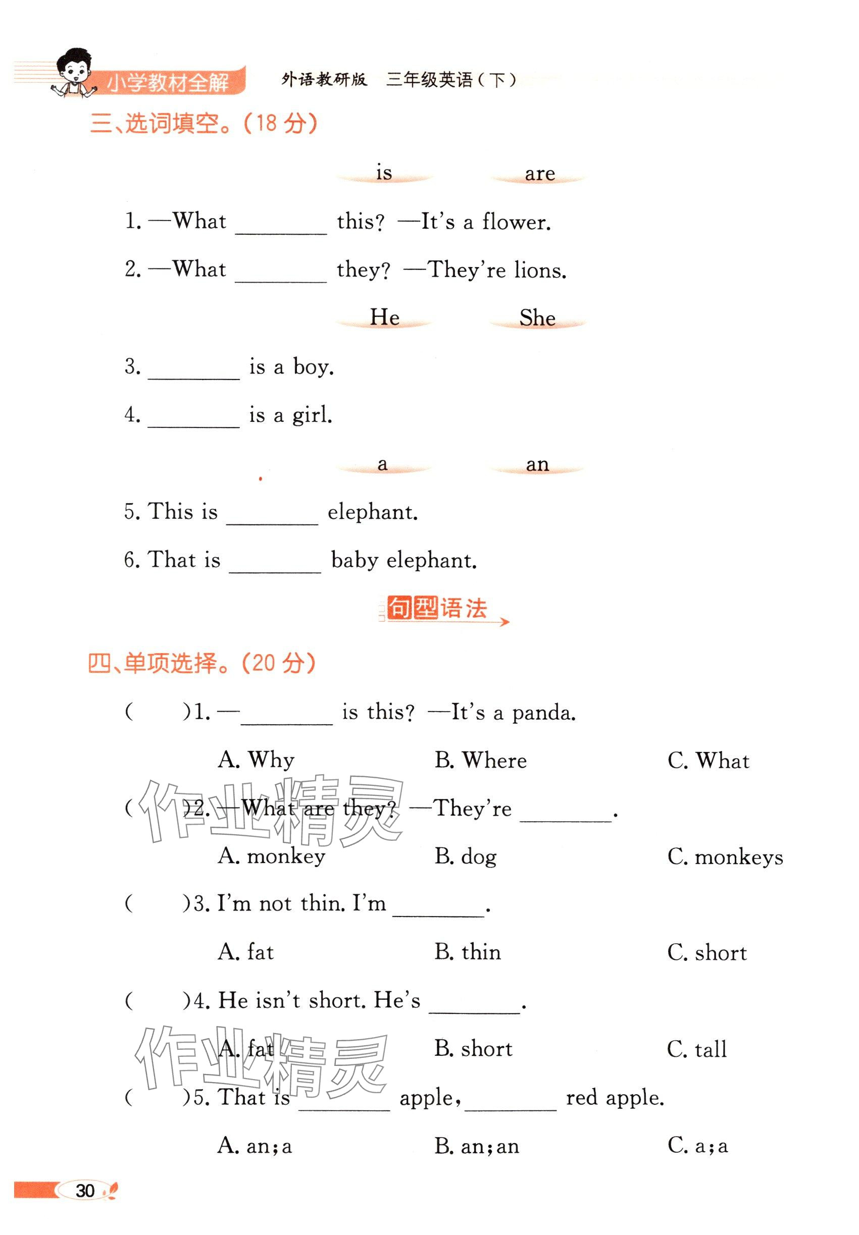 2025年教材課本三年級(jí)英語下冊(cè)外研版&nbsp;參考答案第30頁