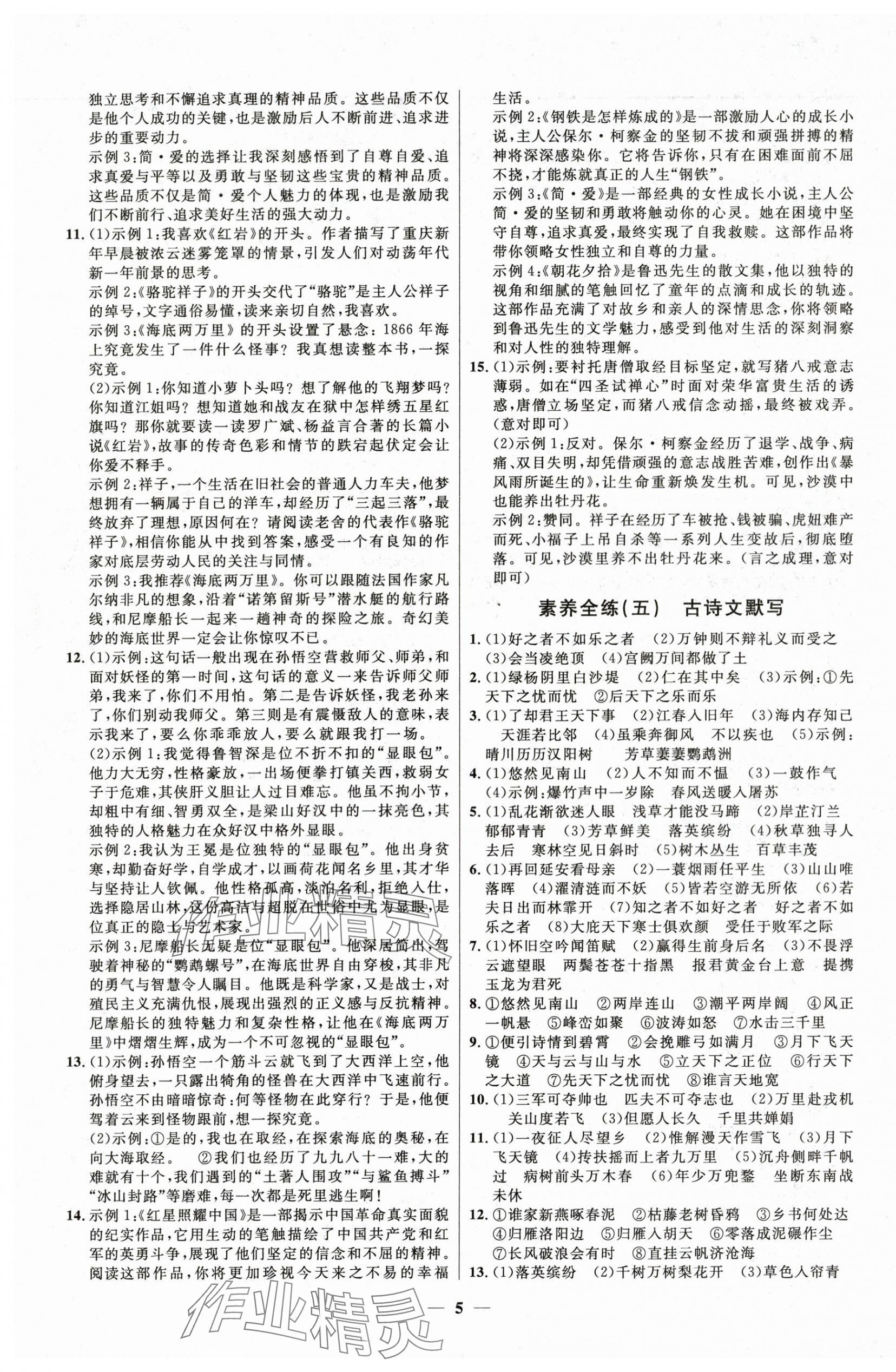 2025年中考優(yōu)品學(xué)案語(yǔ)文 第5頁(yè)