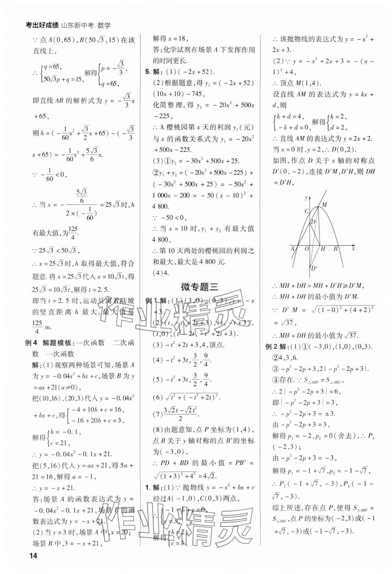 2025年考出好成績(jī)中考總復(fù)習(xí)數(shù)學(xué)山東專版 第14頁(yè)