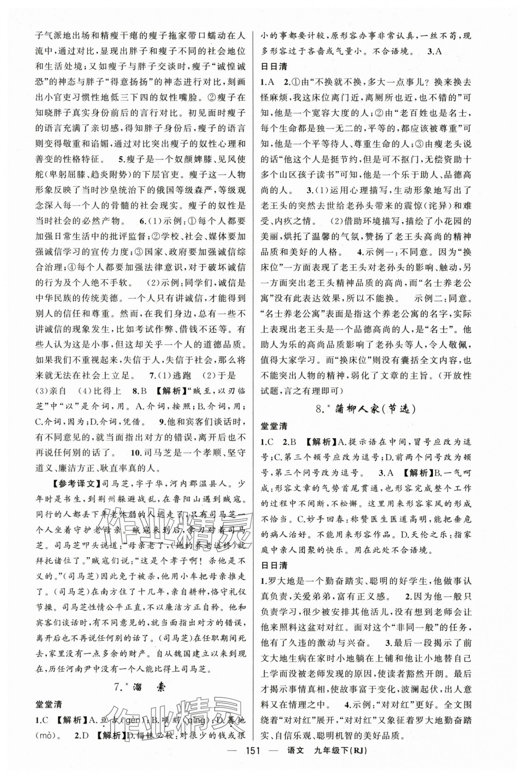 2024年四清導航九年級語文下冊人教版黃岡專版 第3頁