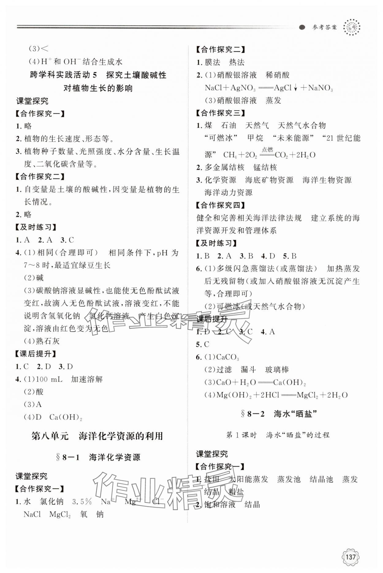 2025年同步練習(xí)冊明天出版社九年級化學(xué)下冊魯教版 第5頁