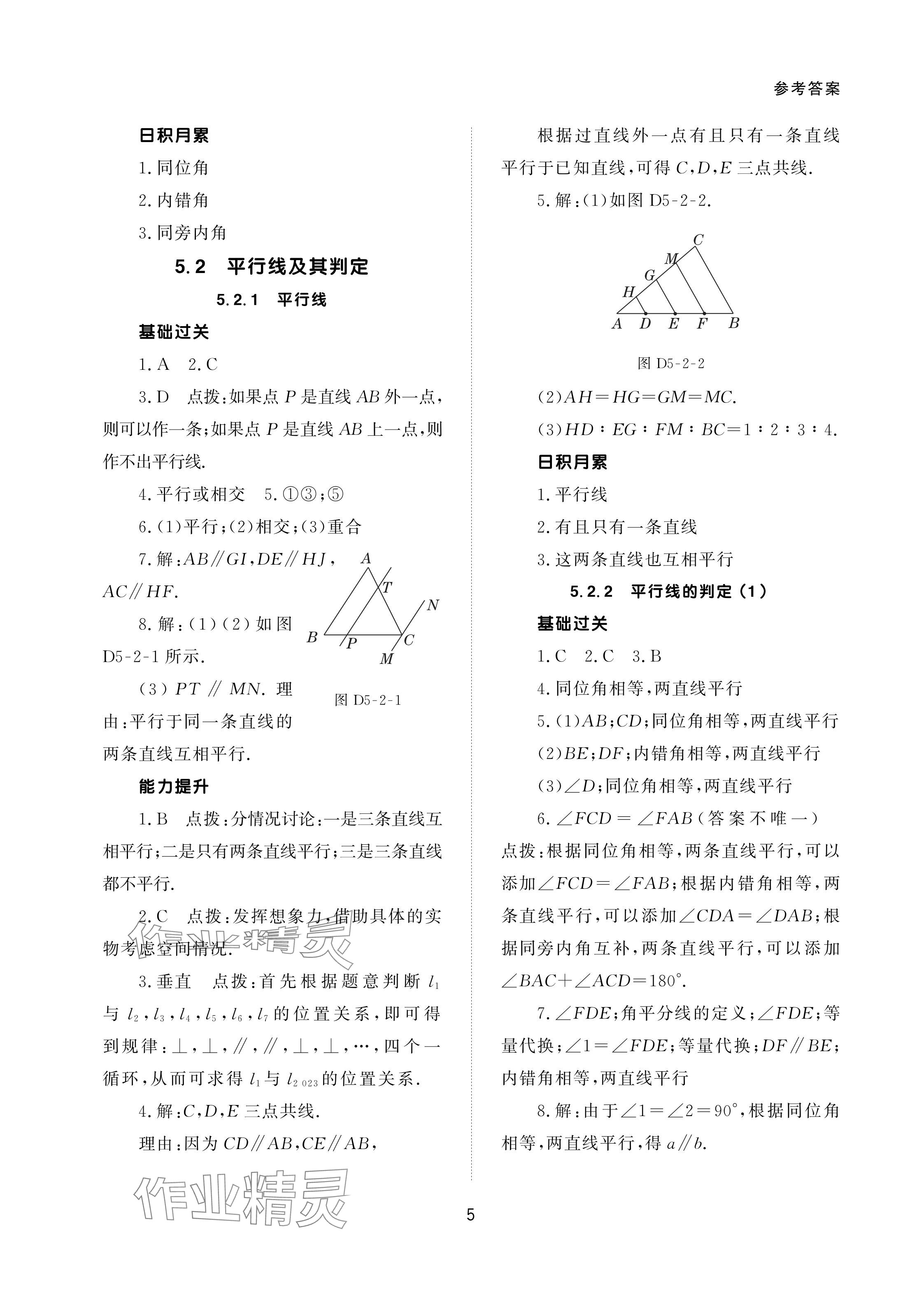 2024年配套綜合練習甘肅七年級數(shù)學下冊人教版 參考答案第5頁