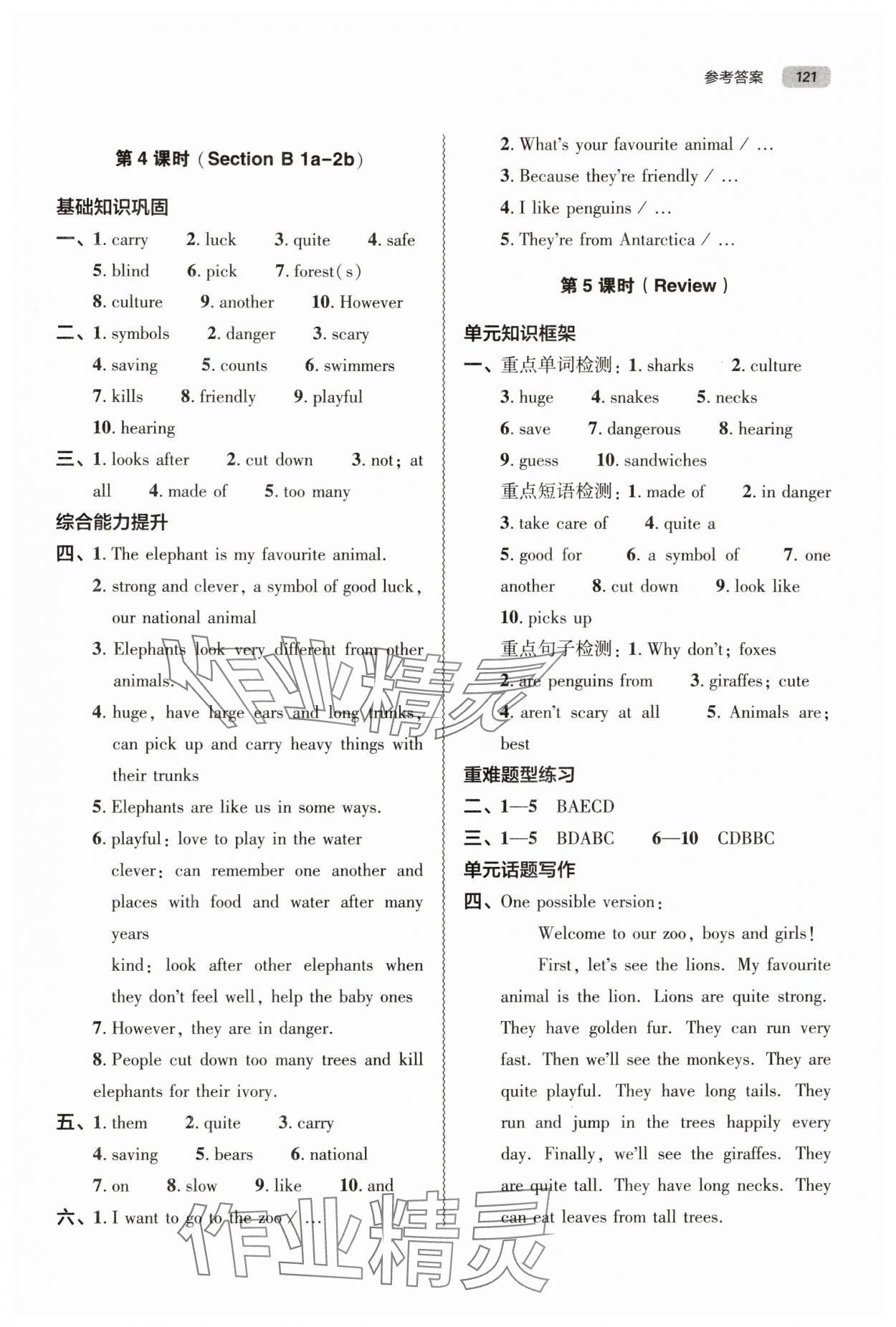 2025年同步練習冊大象出版社七年級英語下冊人教版 參考答案第3頁