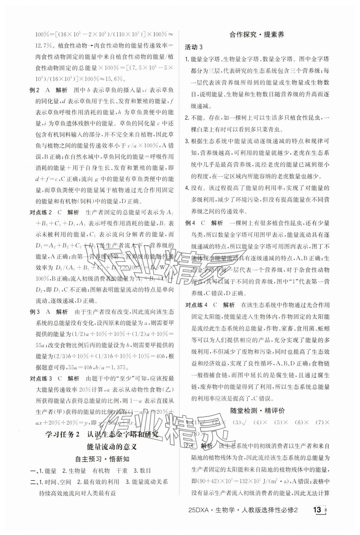 2025年金太陽導學案高中生物選擇性必修2人教版 參考答案第13頁