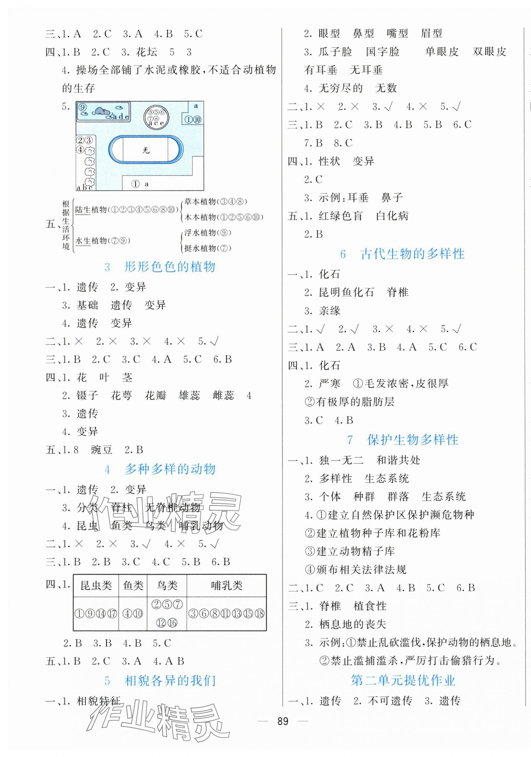 2025年亮點激活提優(yōu)天天練六年級科學下冊教科版 第3頁