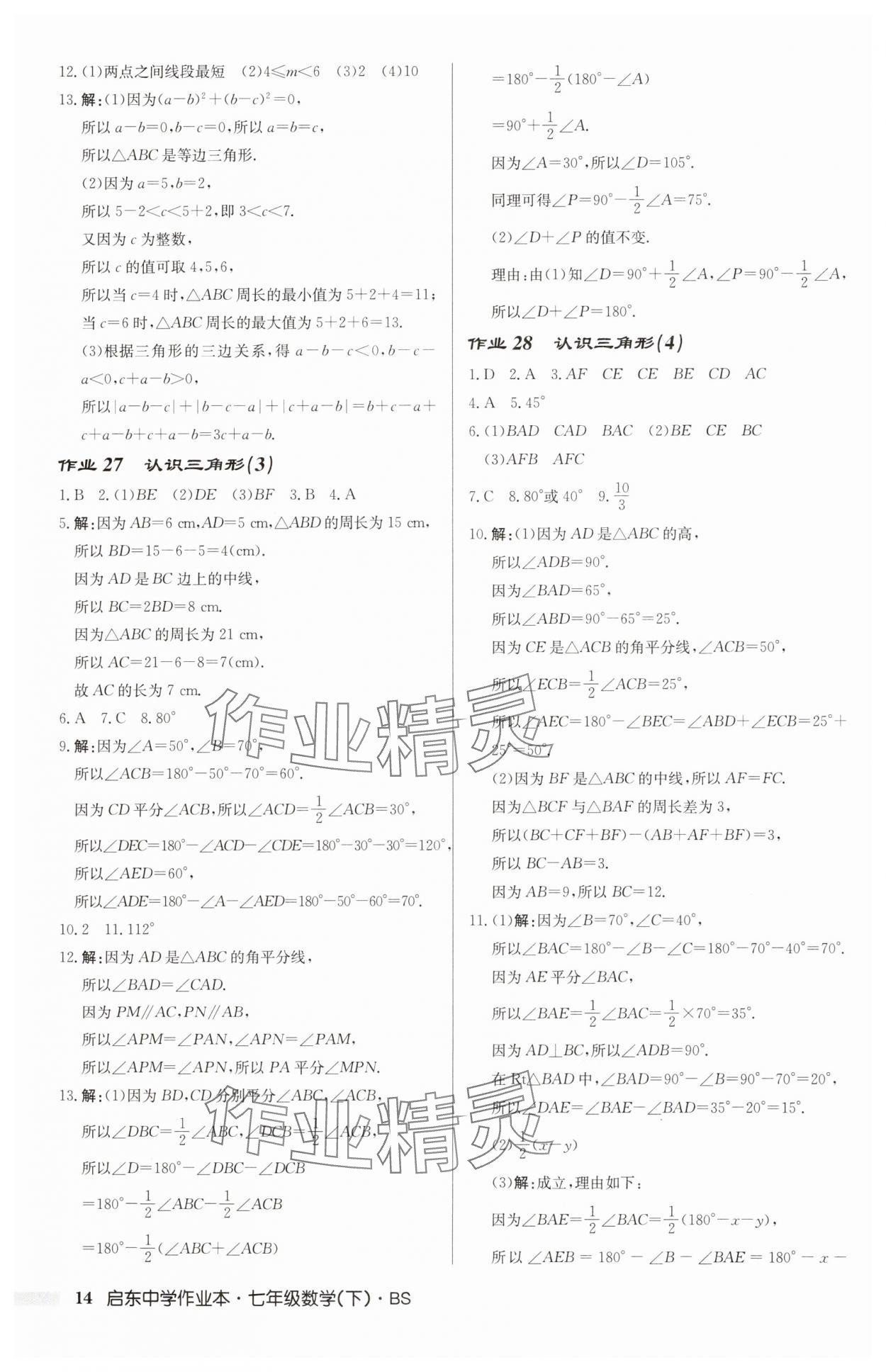 2025年啟東中學(xué)作業(yè)本七年級(jí)數(shù)學(xué)下冊北師大版 第14頁