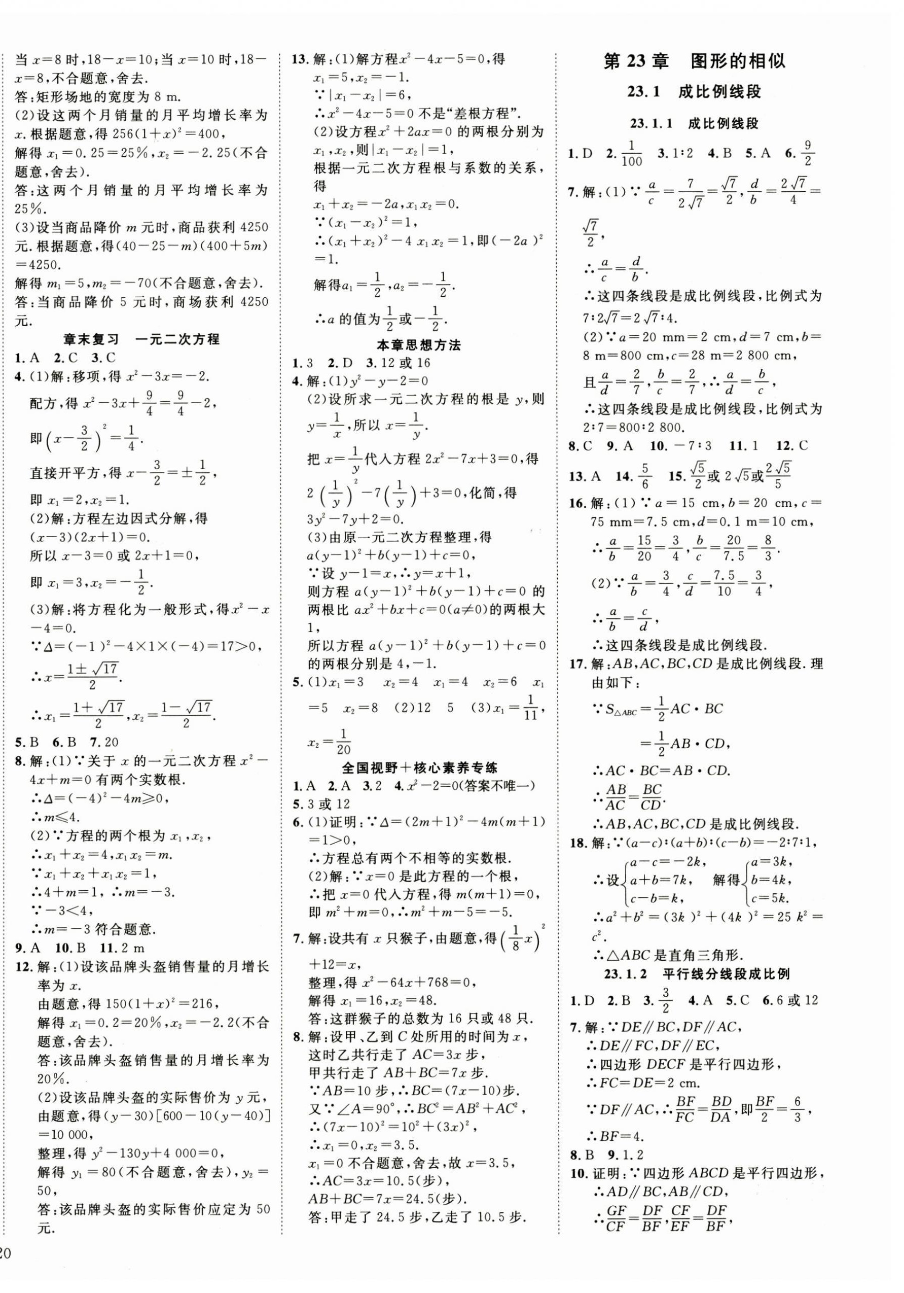 2024年畅行课堂九年级数学上册华师大版山西专版 第8页