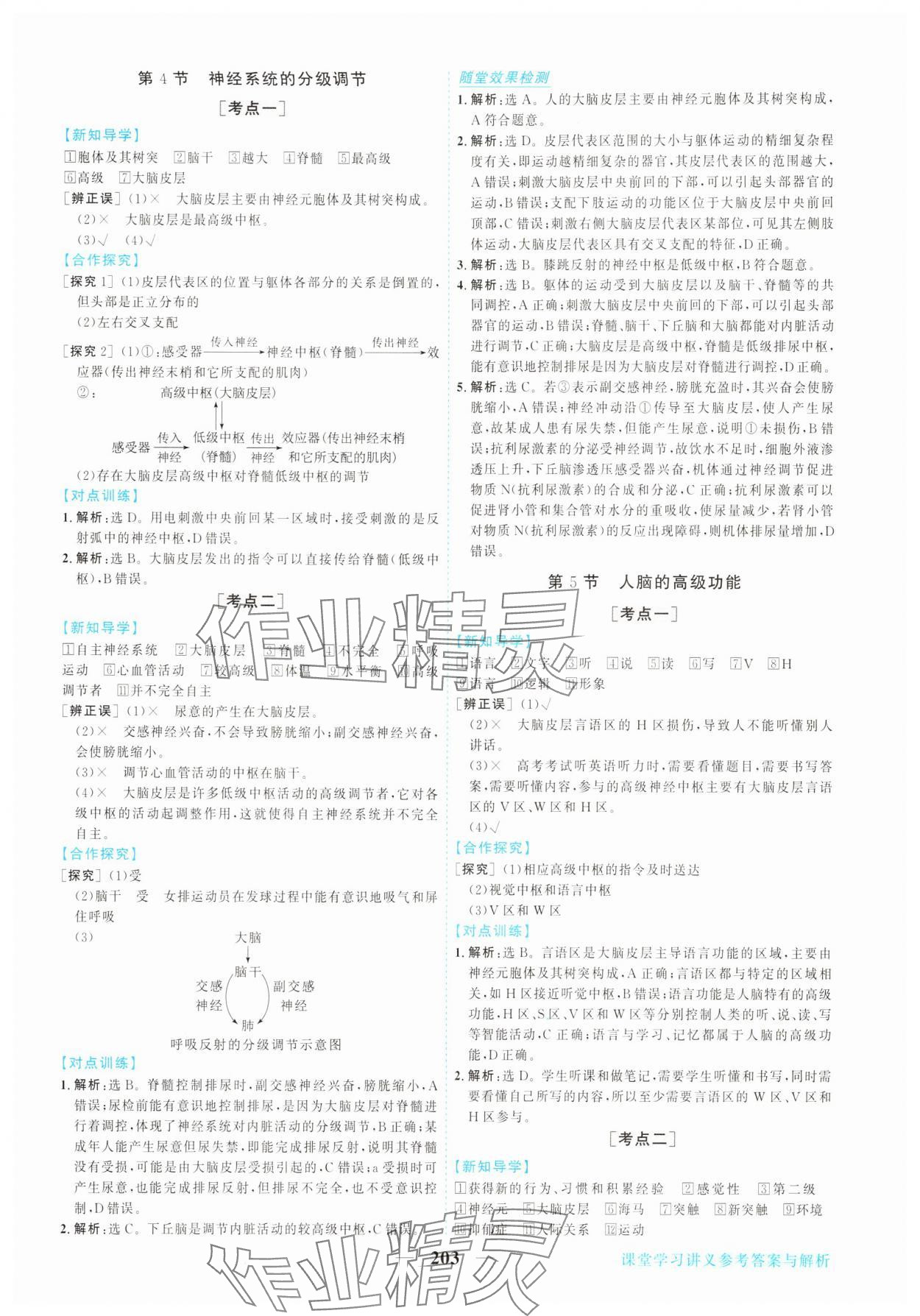 2025年新坐标同步练习高中生物选择性必修第一册人教版 第7页