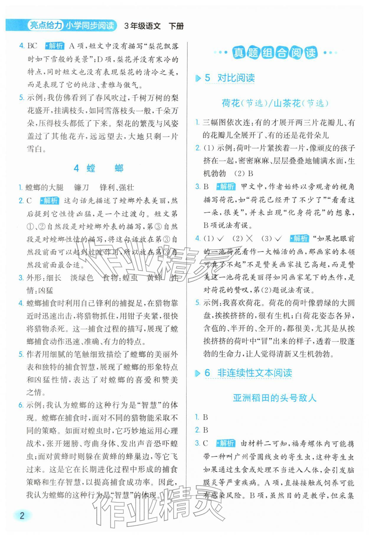 2026年亮点给力同步阅读三年级语文下册人教版&nbsp;第2页