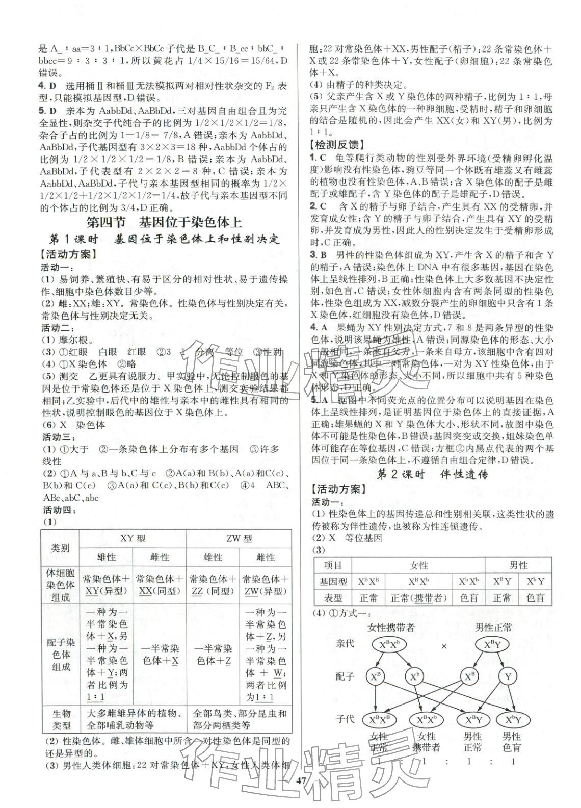 2025年活動單導(dǎo)學(xué)課程高中生物必修第二冊蘇教版&nbsp;第7頁