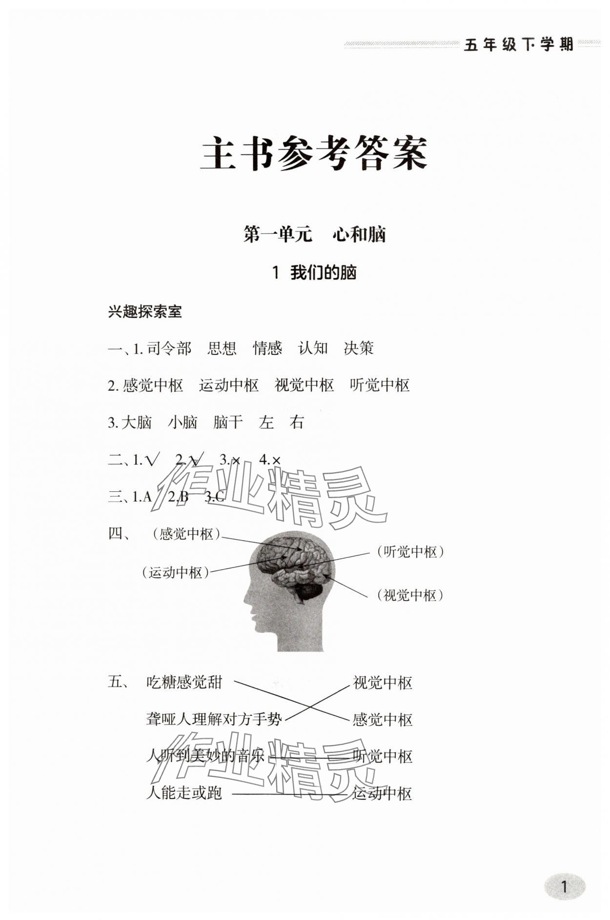2025年新課堂同步學習與探究五年級科學下冊人教版 參考答案第1頁