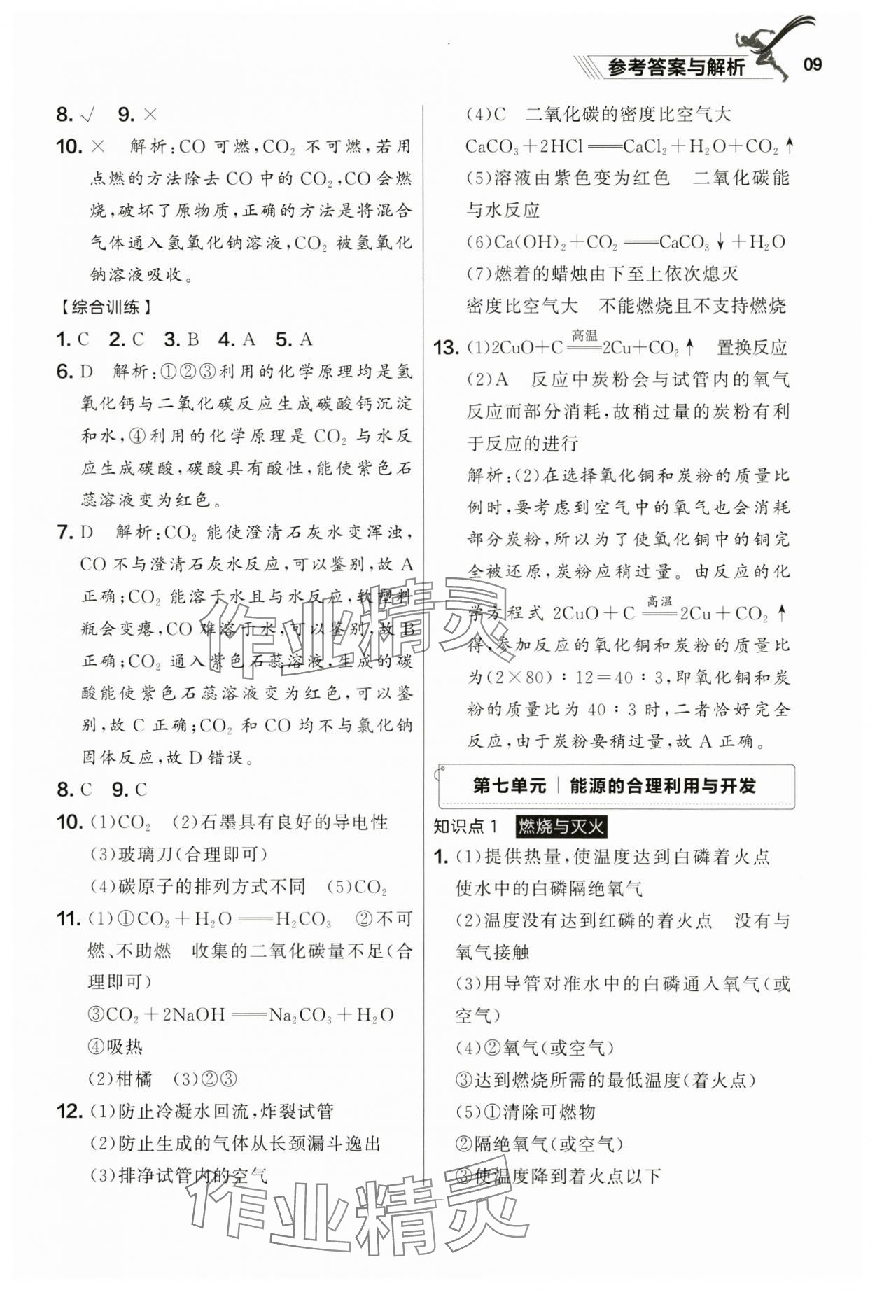 2025年中考冲刺化学课标复习辽宁专版 参考答案第9页