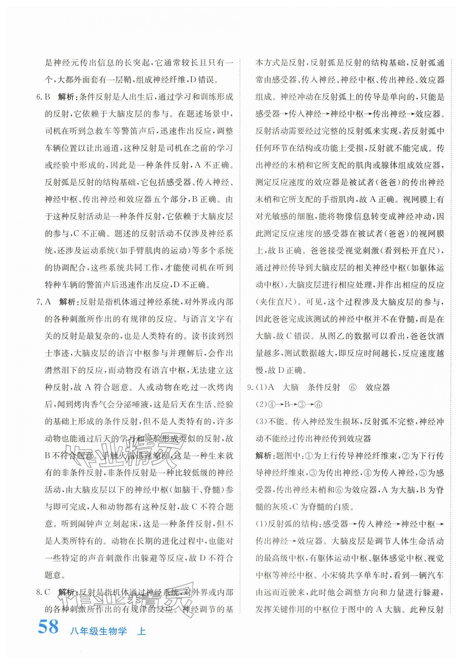 2025年提分教练八年级生物上册人教版 第3页