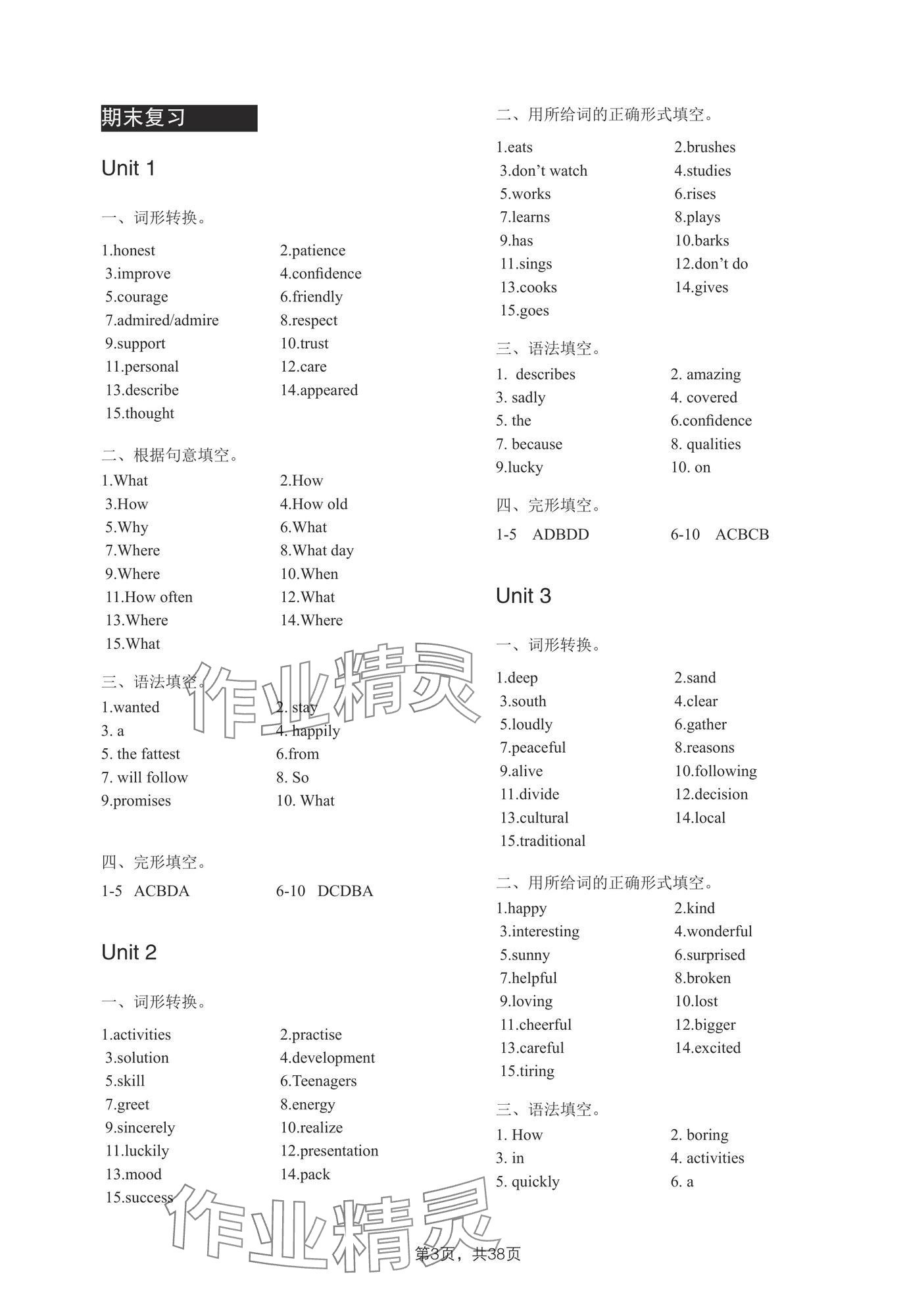 2025年A加直通车同步练习七年级英语上册沪教版 第3页