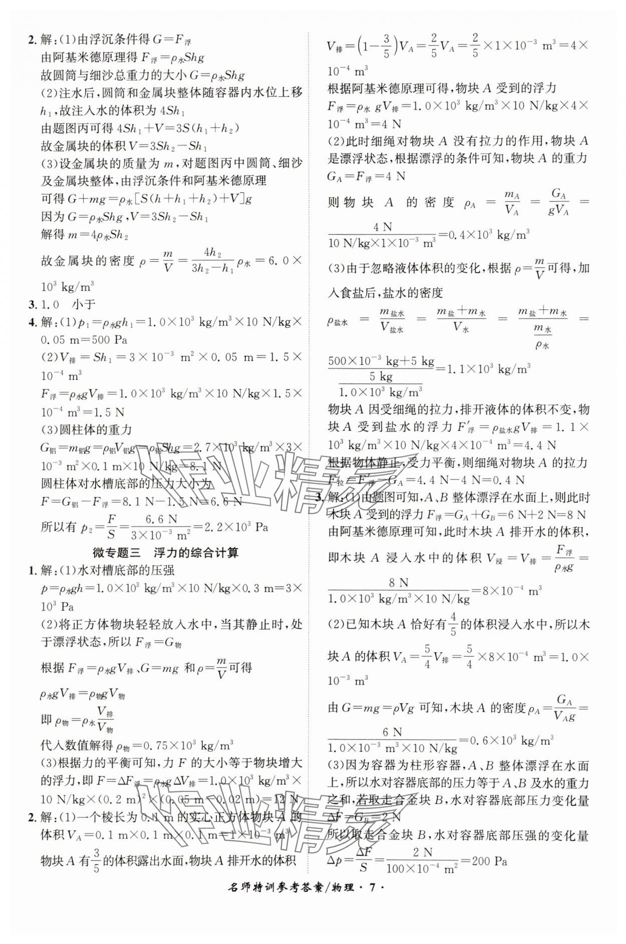 2025年名師特訓物理安徽專版 第7頁