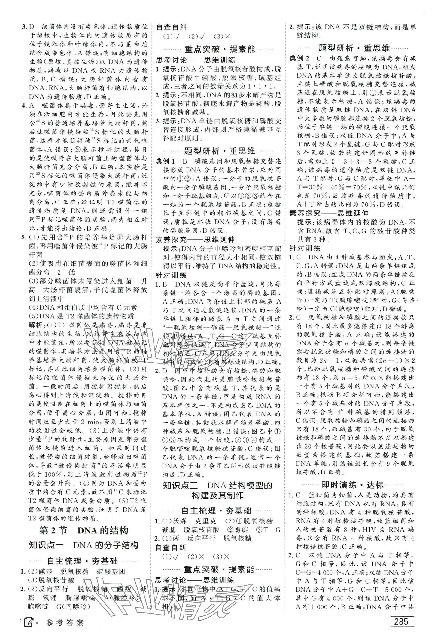 2024年红对勾讲与练高中生物必修2人教版 第15页