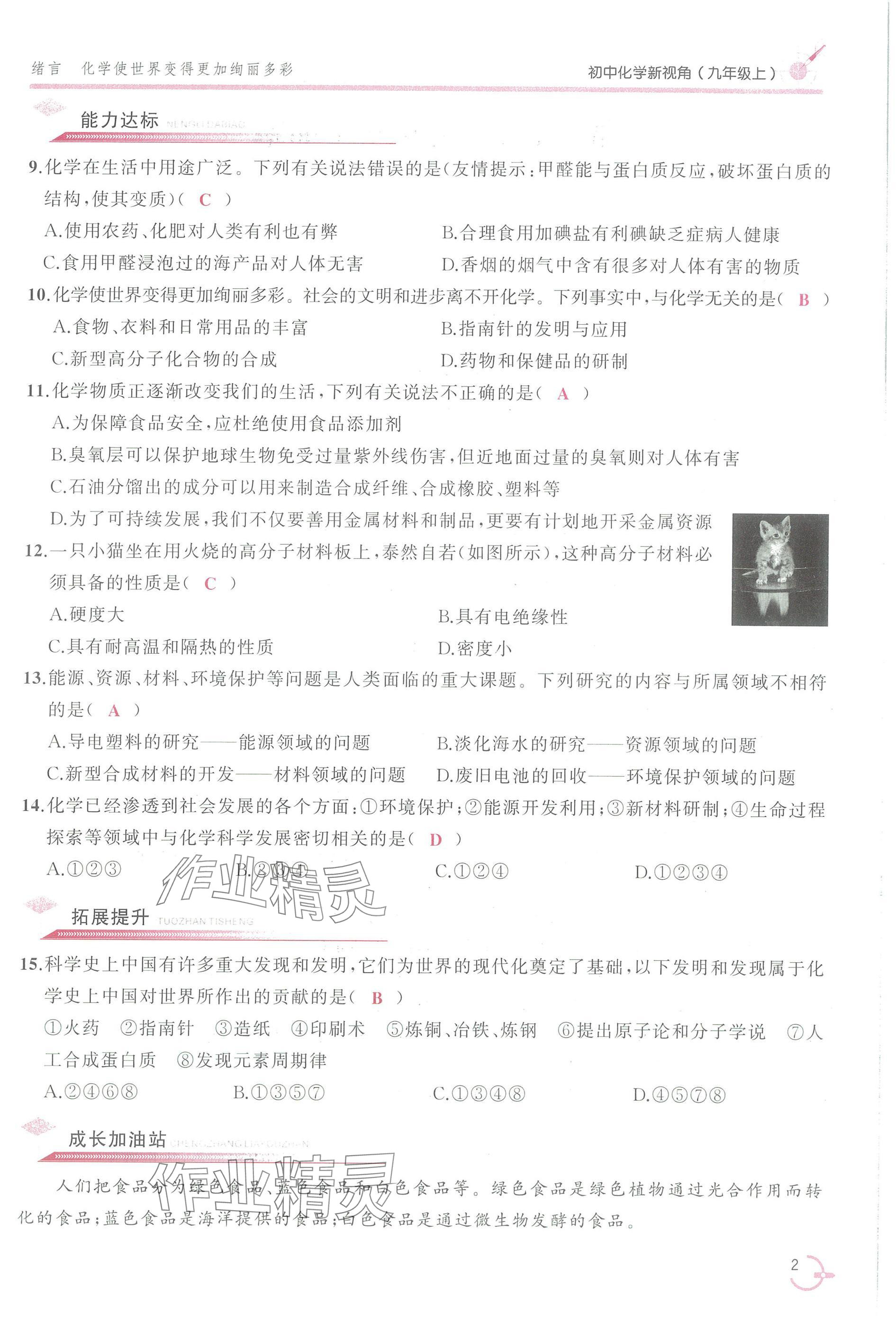 2025年新视角教辅系列丛书九年级化学上册人教版 参考答案第2页