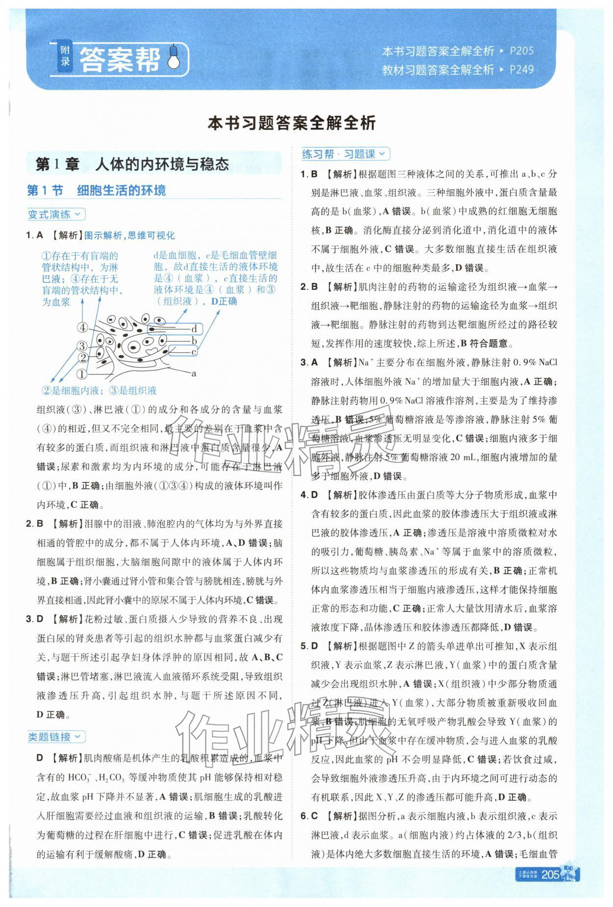 2025年教材帮高中生物选择性必修1人教版 参考答案第1页