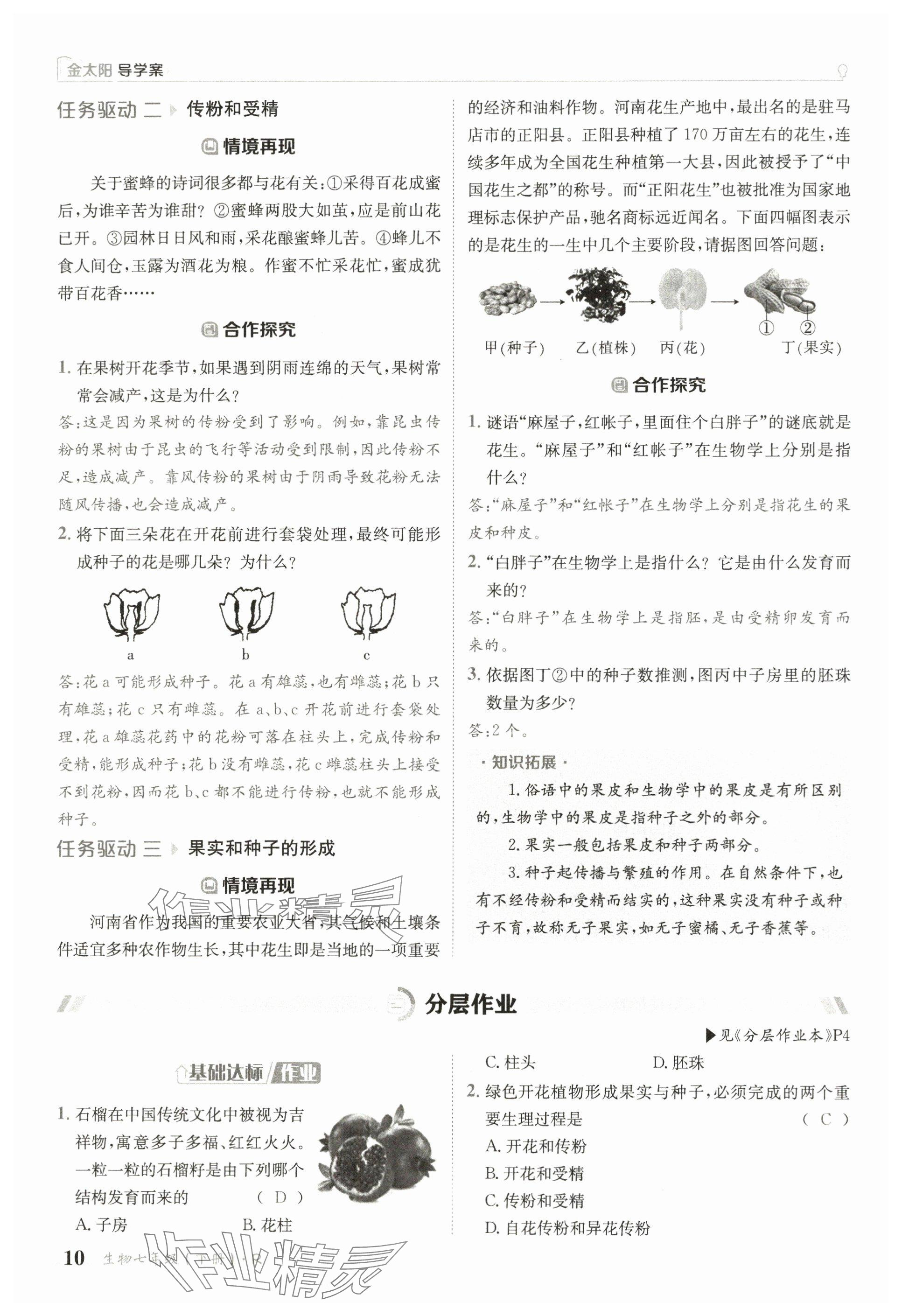 2025年金太陽導(dǎo)學(xué)案七年級生物下冊人教版 參考答案第10頁