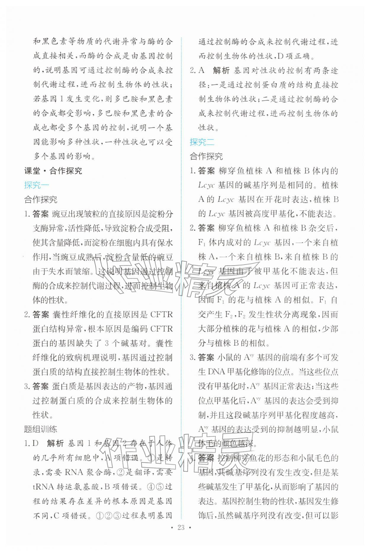 2026年能力培养与测试高中生物必修2(已禁用勿选)人教版&nbsp;参考答案第22页
