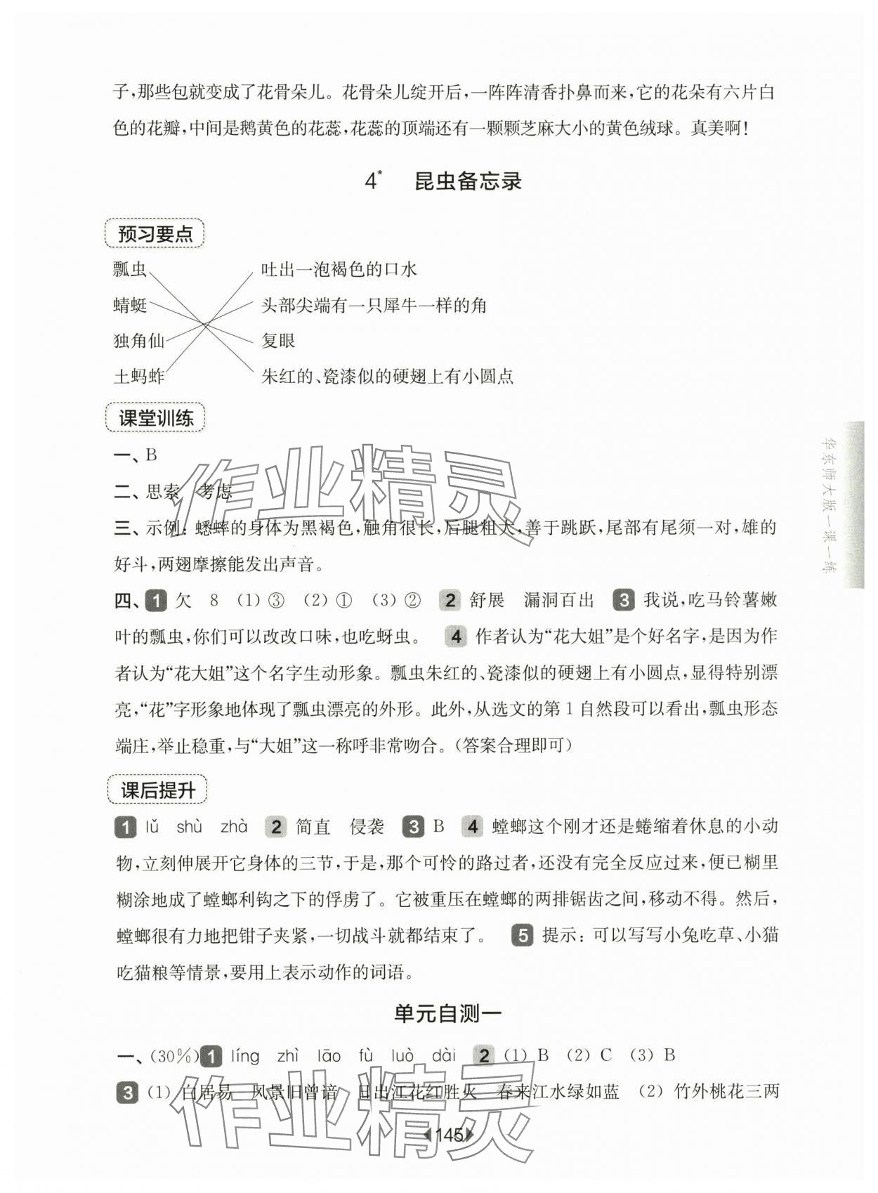 2025年華東師大版一課一練三年級語文下冊人教版五四制 參考答案第3頁