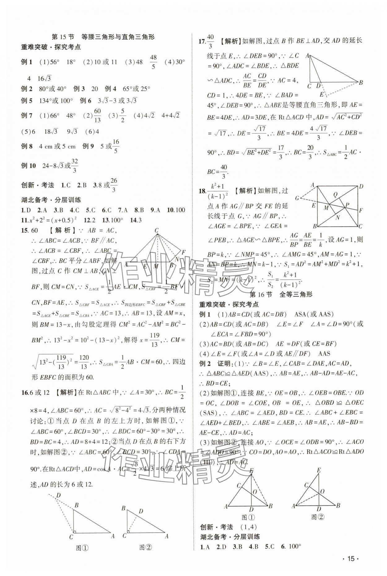 2025年聚焦中考數(shù)學(xué)中考湖北專(zhuān)版 參考答案第15頁(yè)