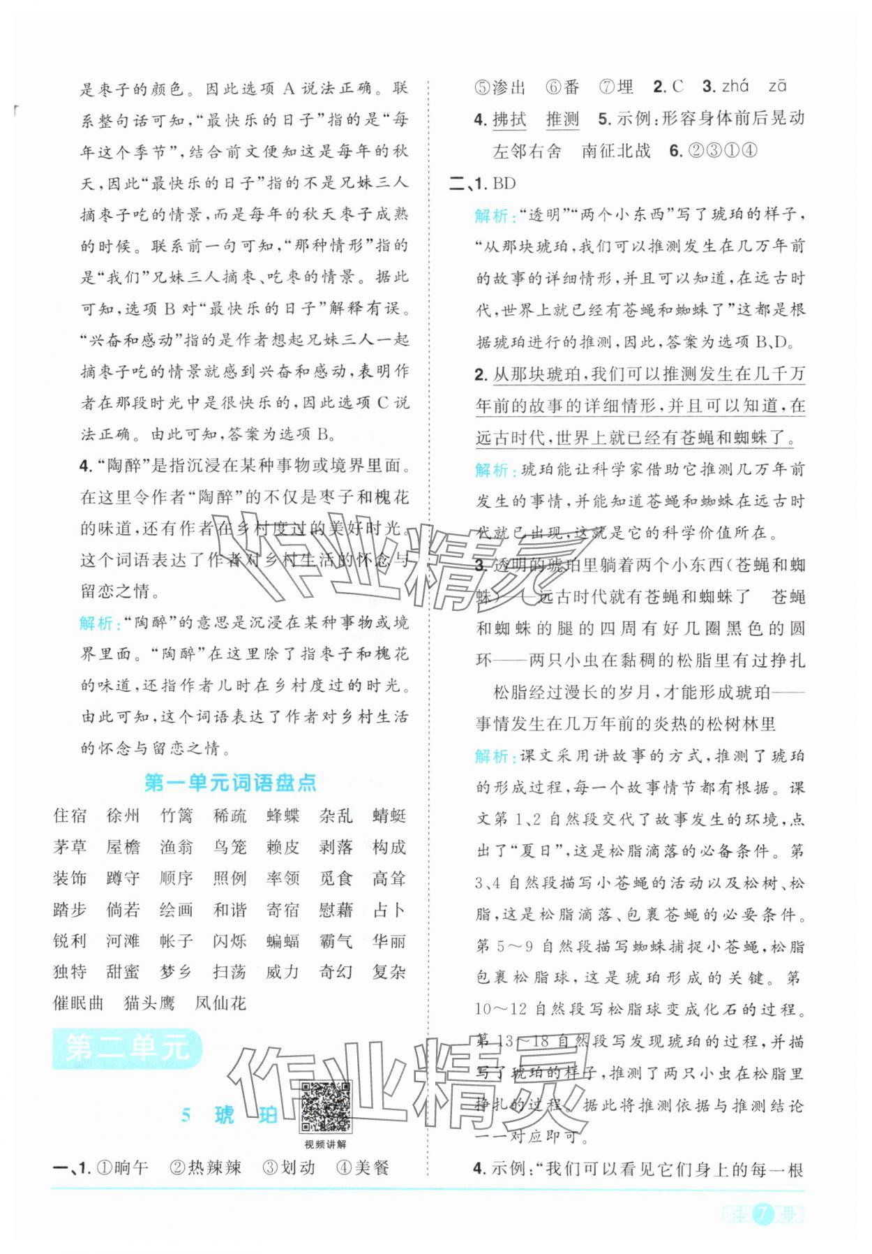 2024年阳光同学课时优化作业四年级语文下册人教版 参考答案第7页