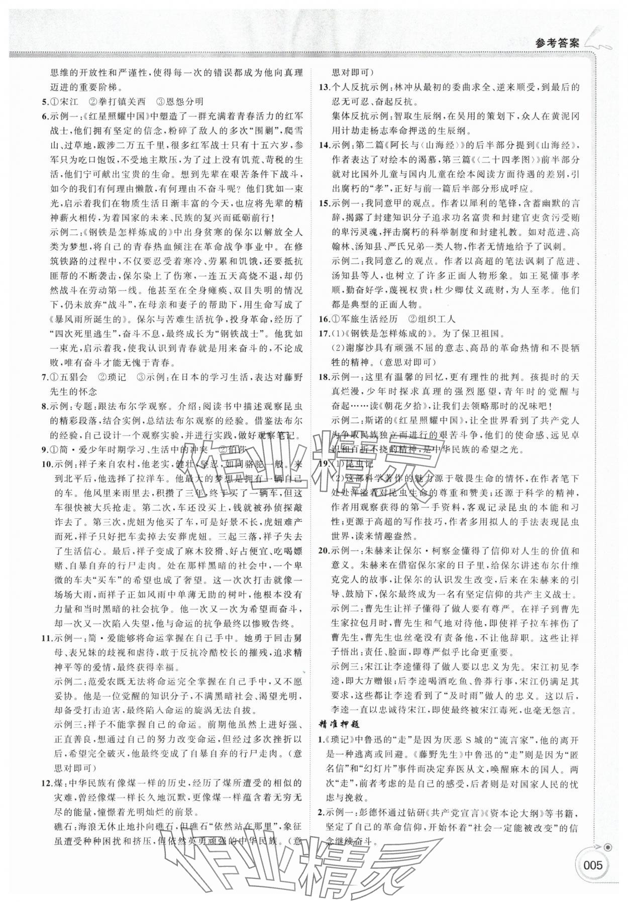 2025年首席中考语文甘肃专版&nbsp;第5页