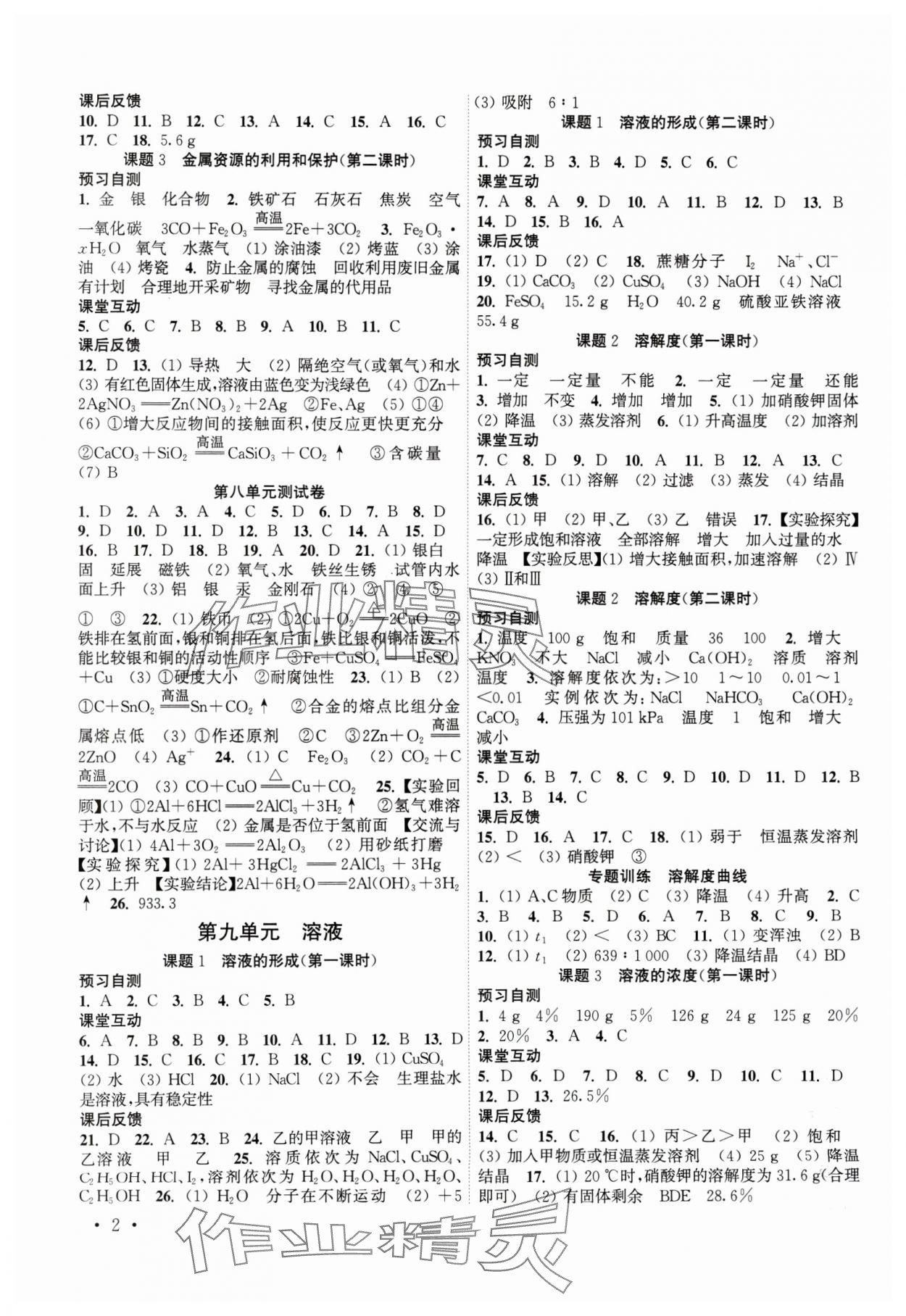 2024年高效精练九年级化学下册人教版 第2页