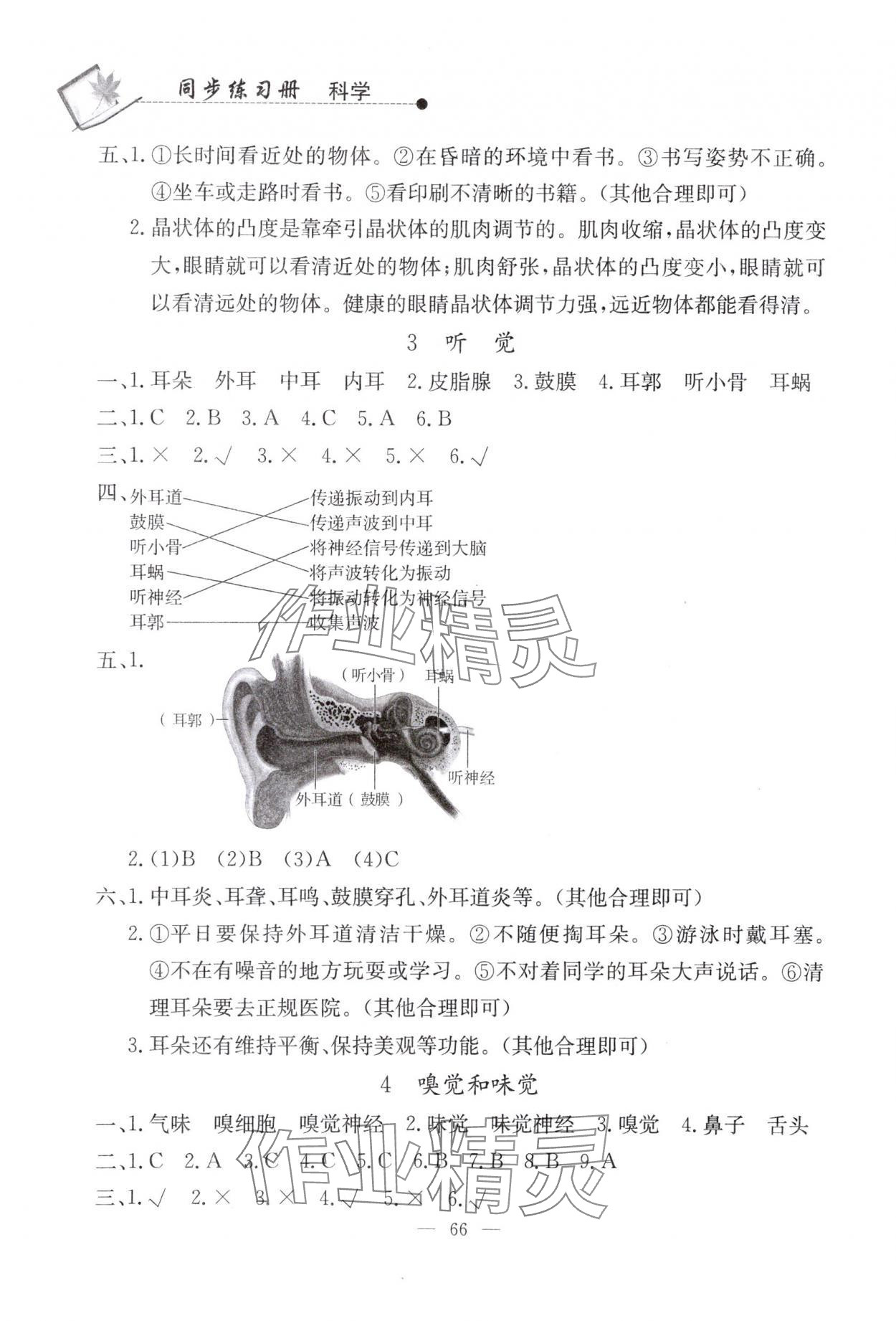 2024年同步練習冊山東科學技術出版社六年級科學下冊青島版 第2頁