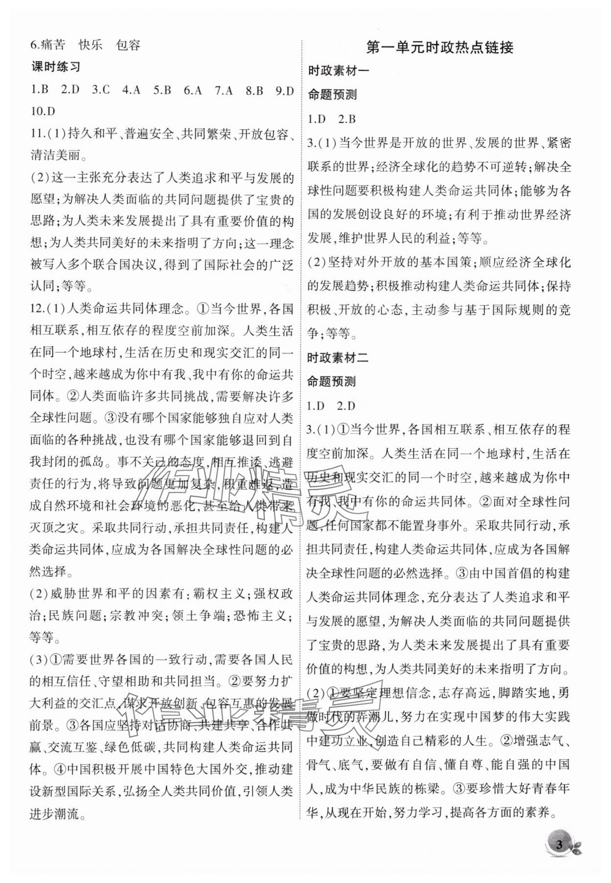 2025年創(chuàng)新課堂創(chuàng)新作業(yè)本九年級道德與法治下冊人教版 第3頁