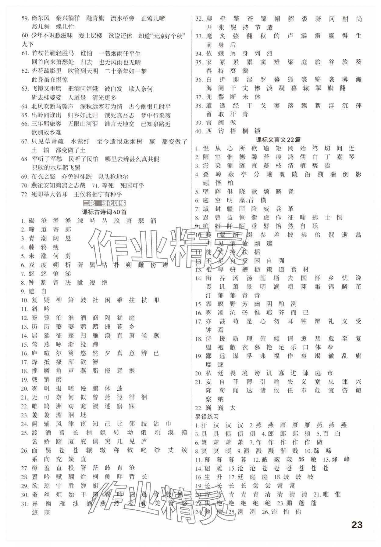 2025年滾動遷移中考總復(fù)習(xí)語文廣東專版 第23頁