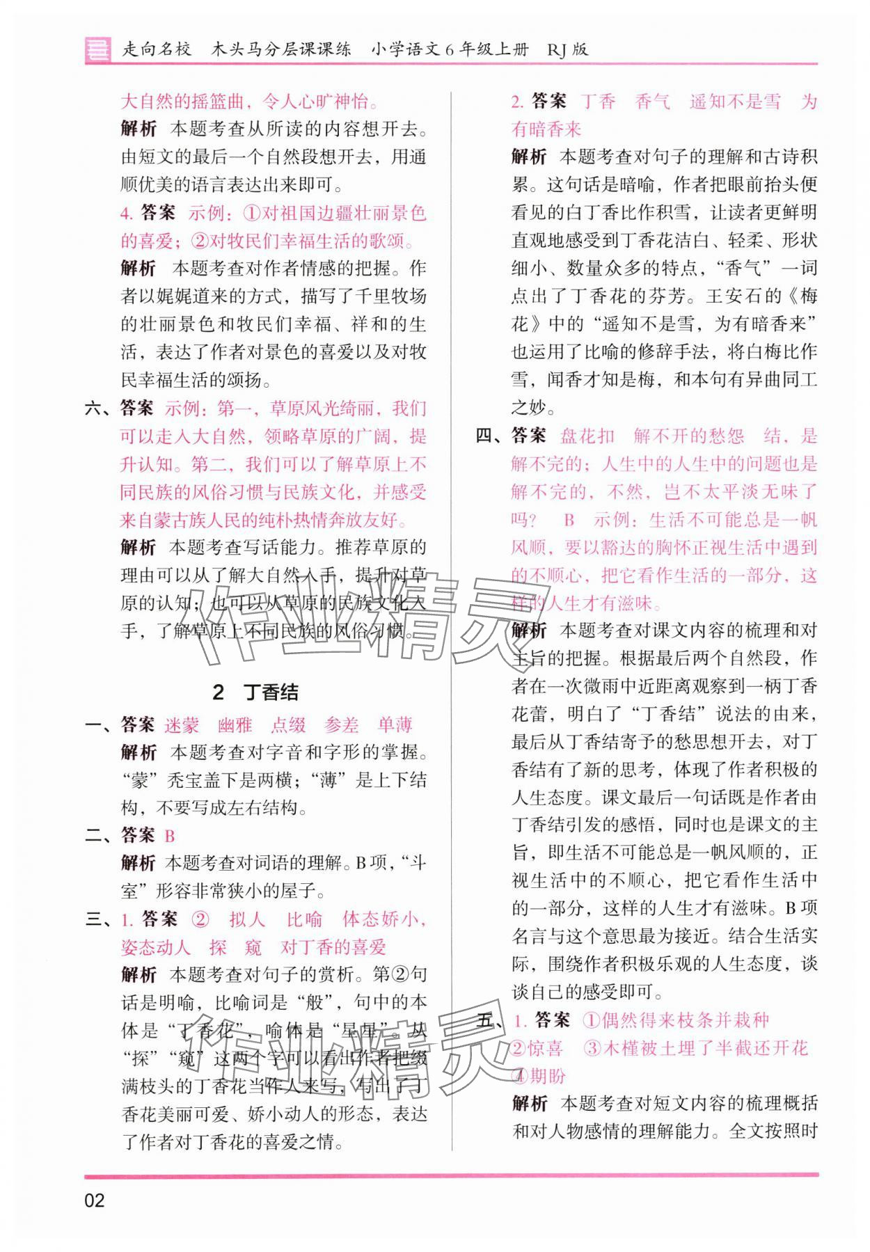 2025年木头马分层课课练六年级语文上册人教版浙江专版 第2页