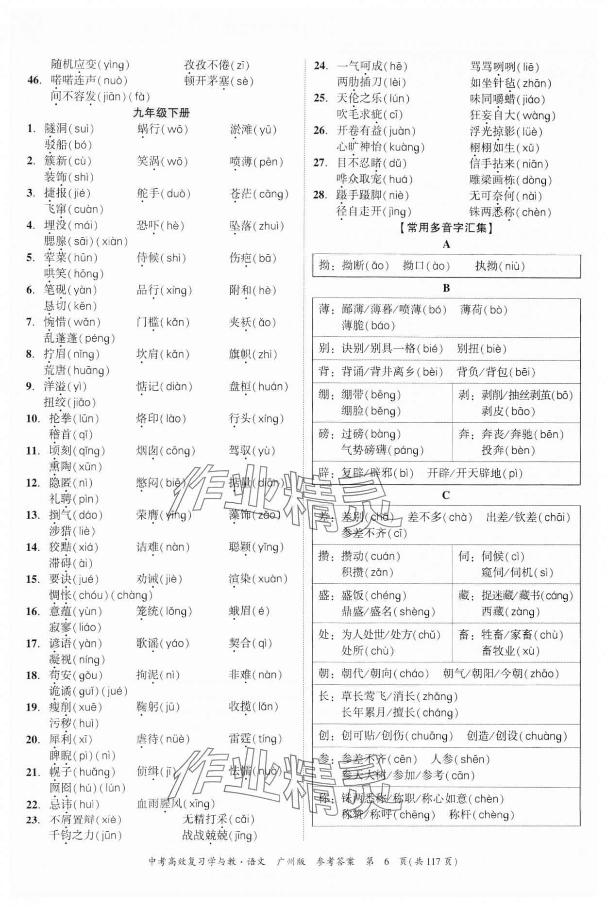 2024年中考高效復習學與教語文廣州專版 參考答案第6頁