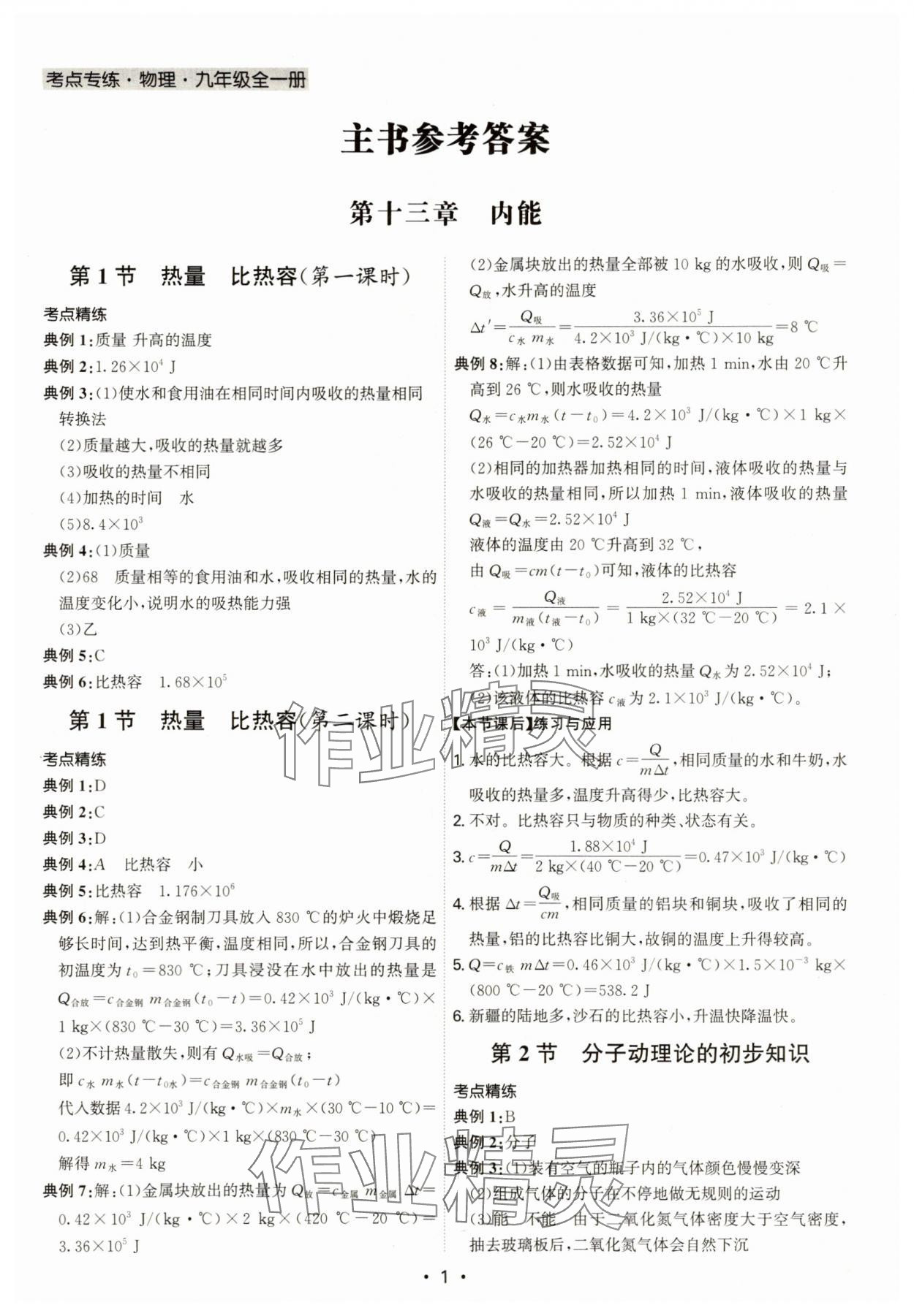 2025年考点专练九年级物理全一册人教版深圳专版 第1页
