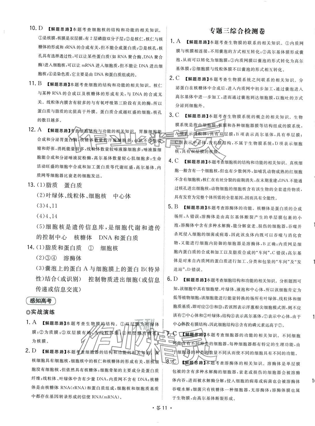 2024年天利38套對(duì)接高考單元專題測(cè)試卷高中生物必修1人教版 第11頁